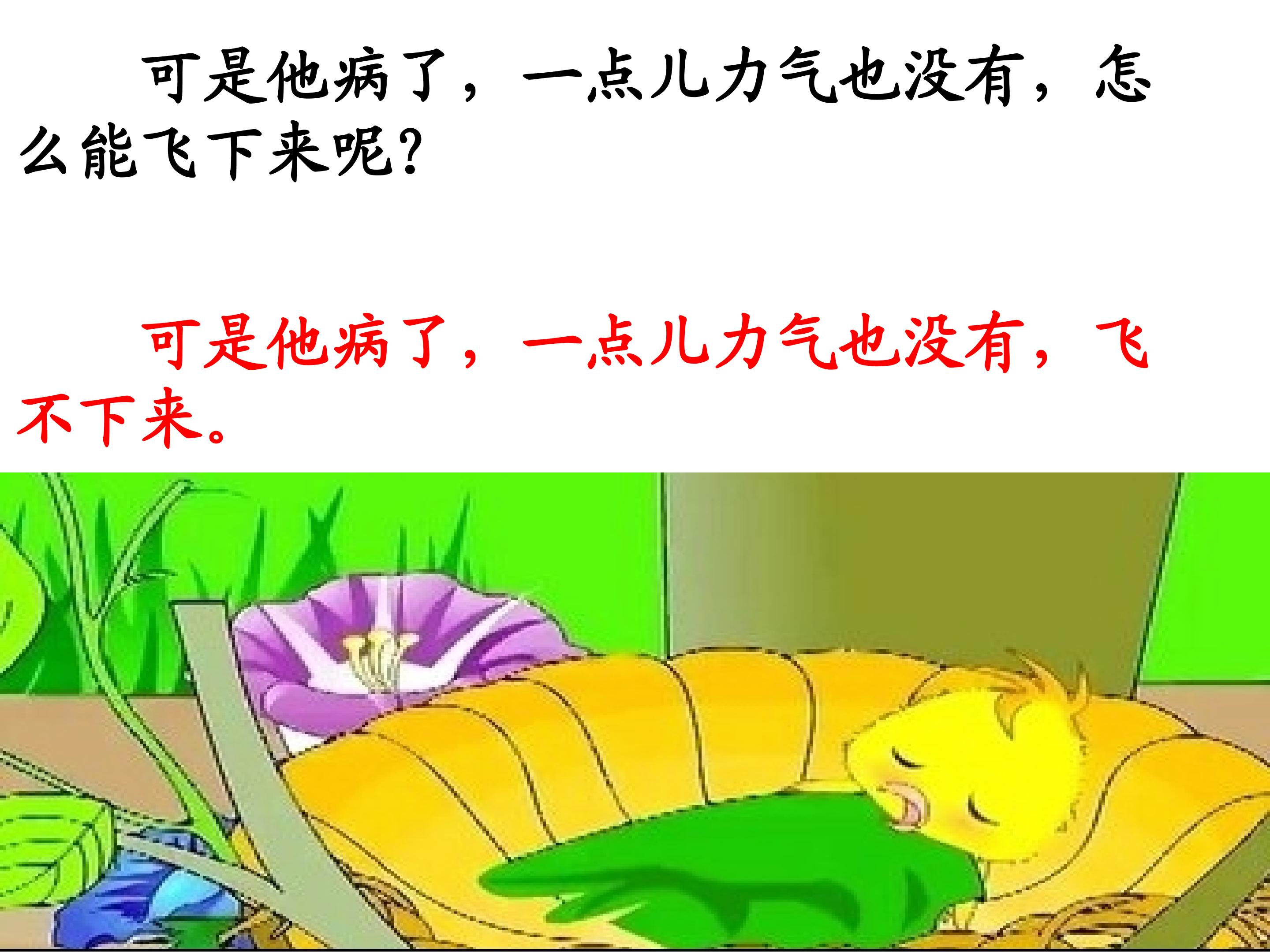 24.jpg