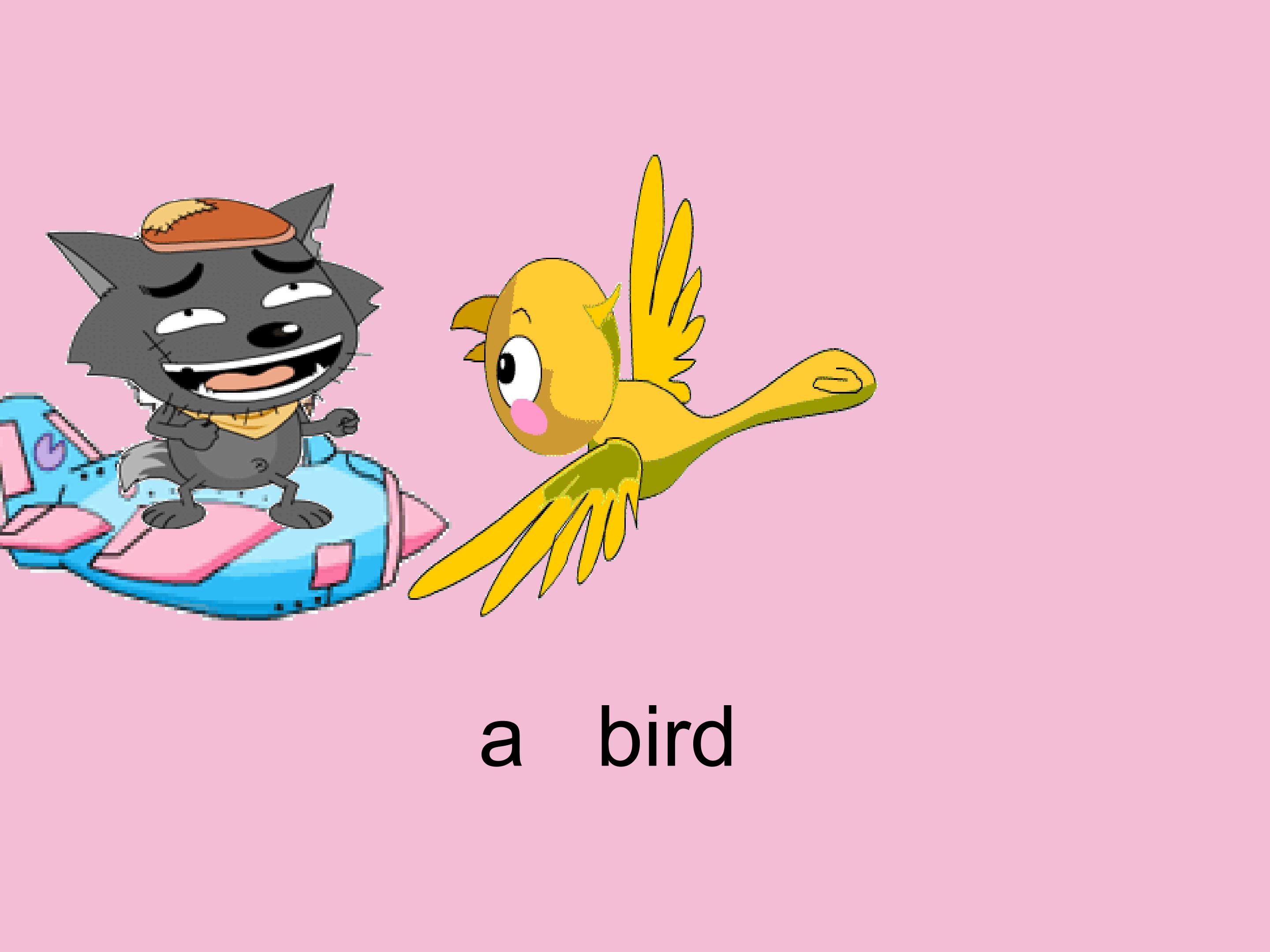 17.jpg
