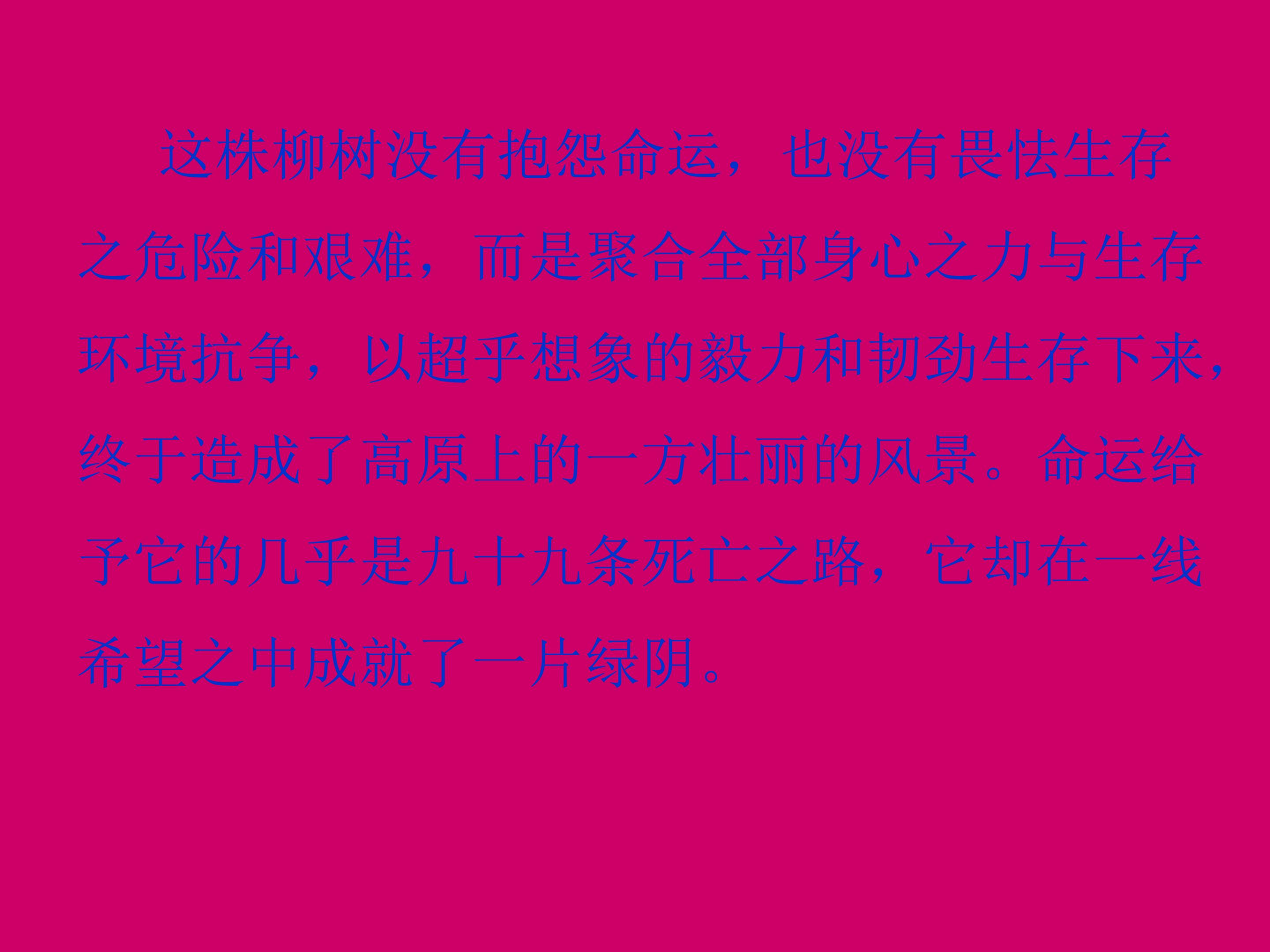 77.jpg