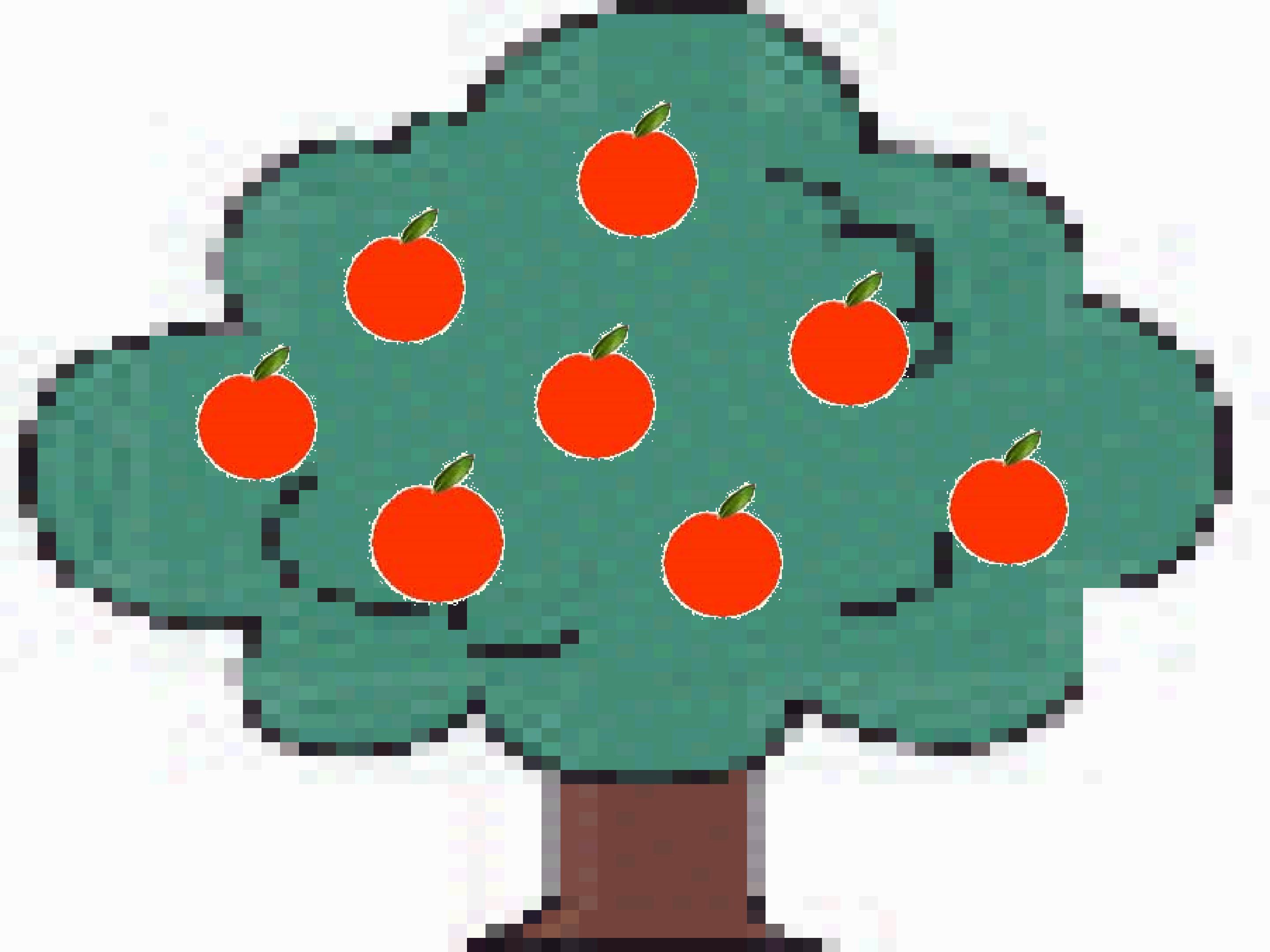 17.jpg