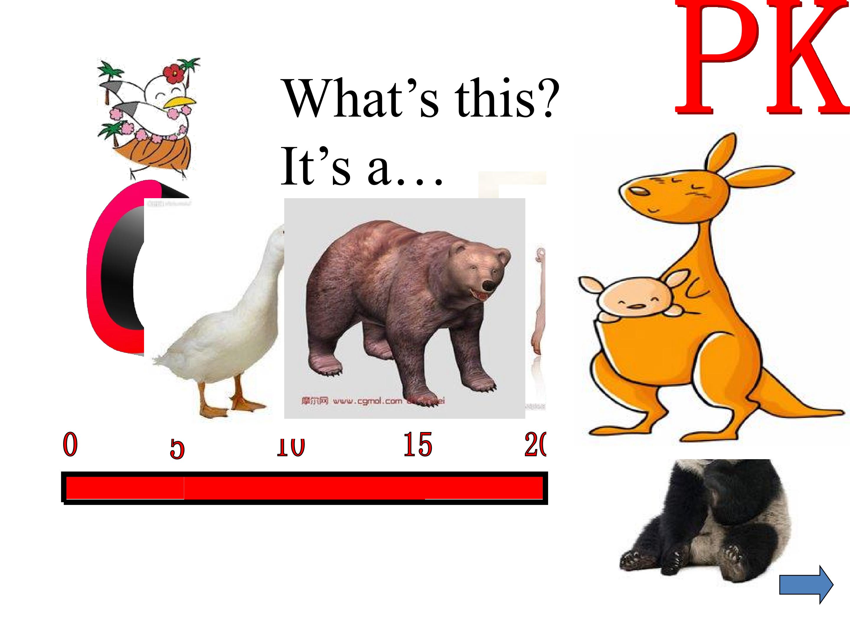 18.jpg