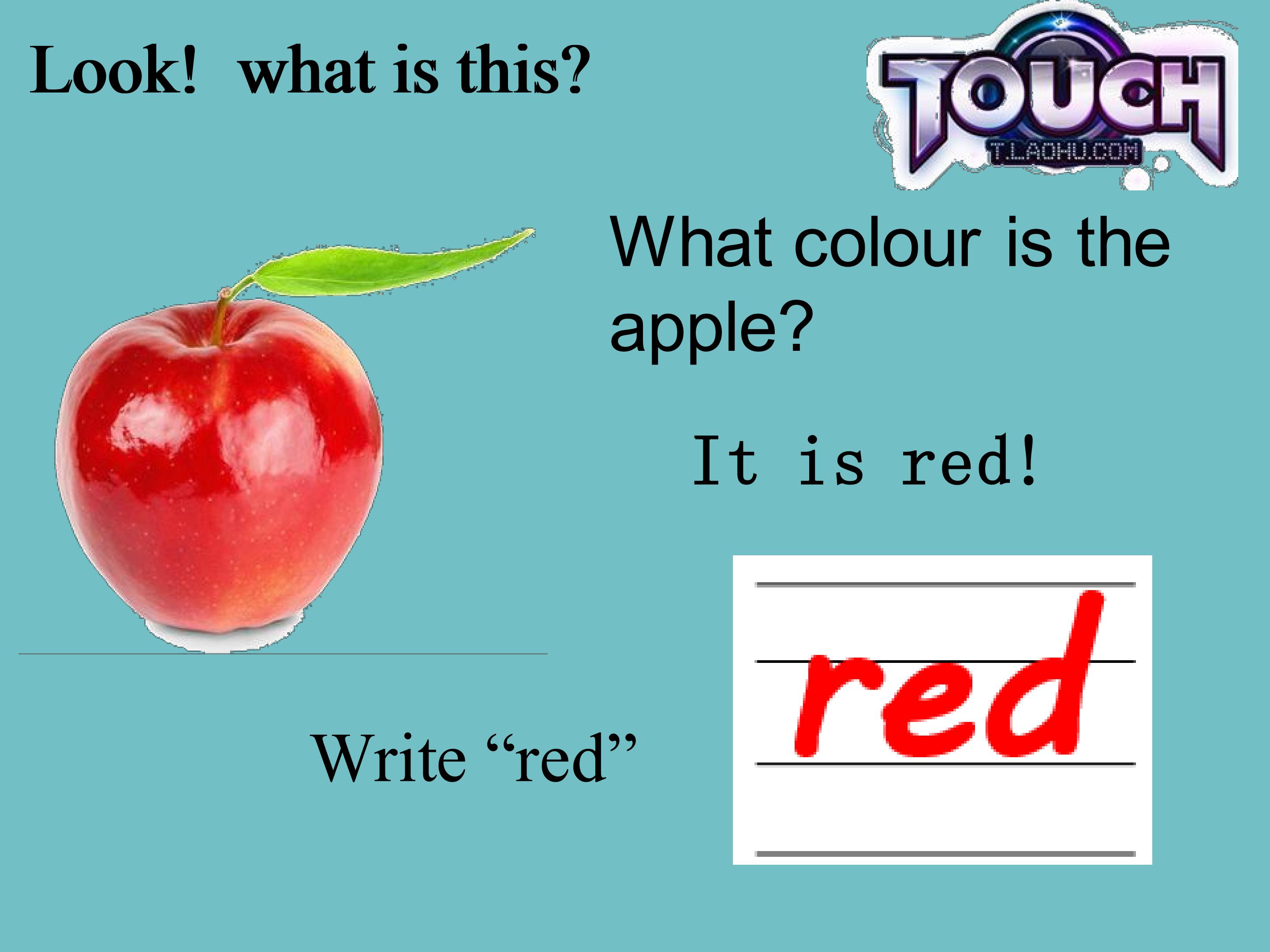 4.jpg
