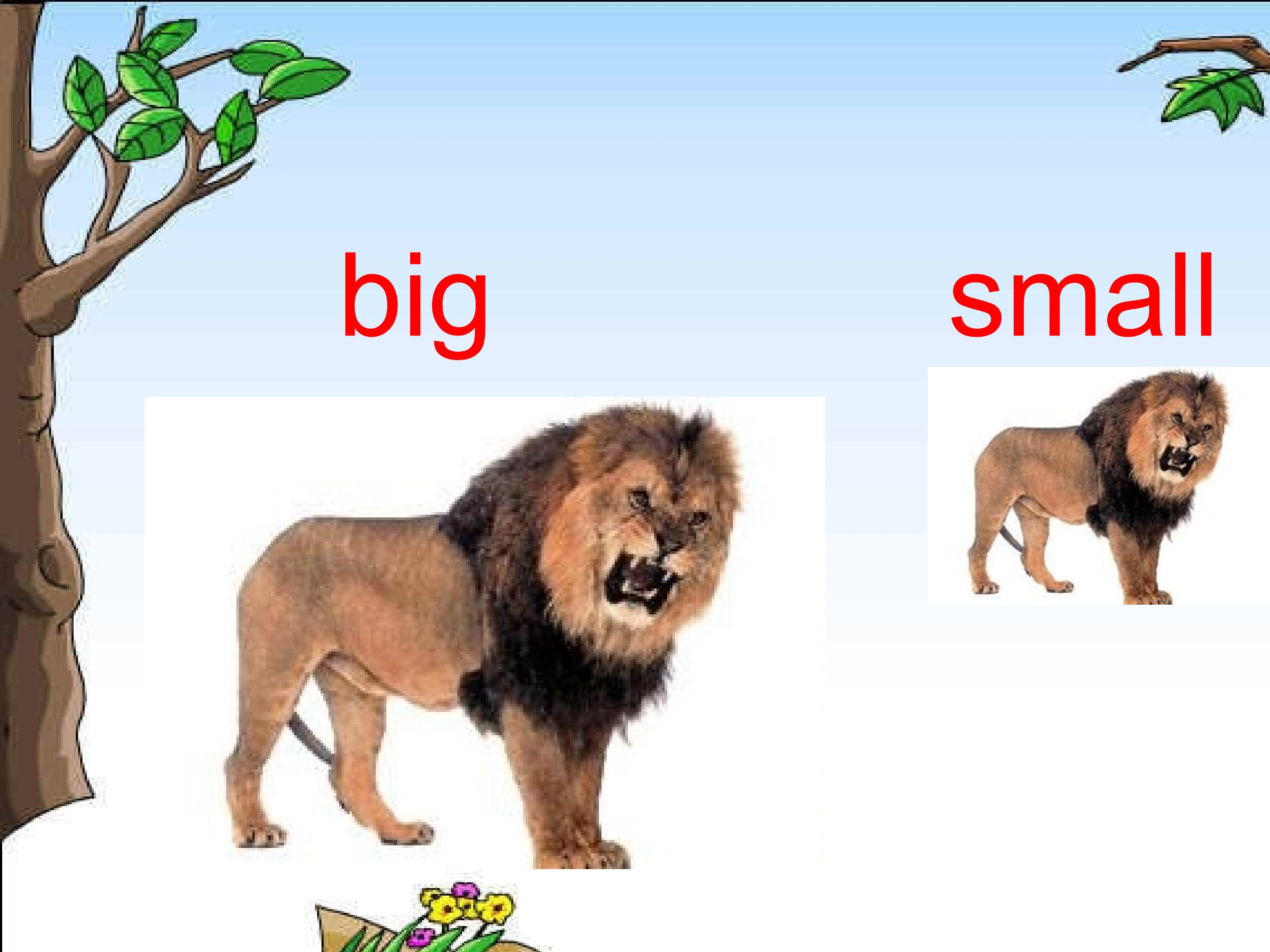 2.jpg