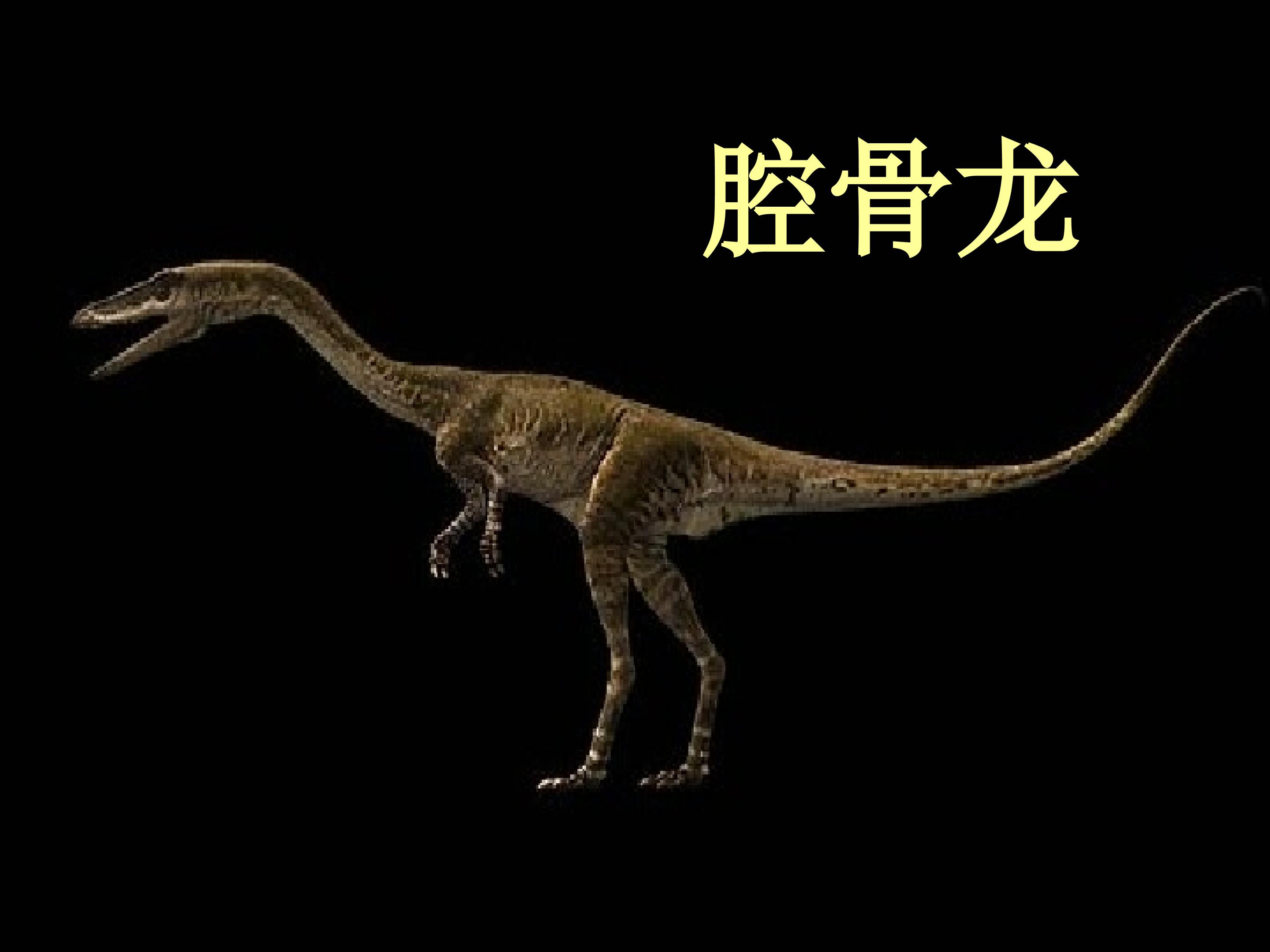 45.jpg