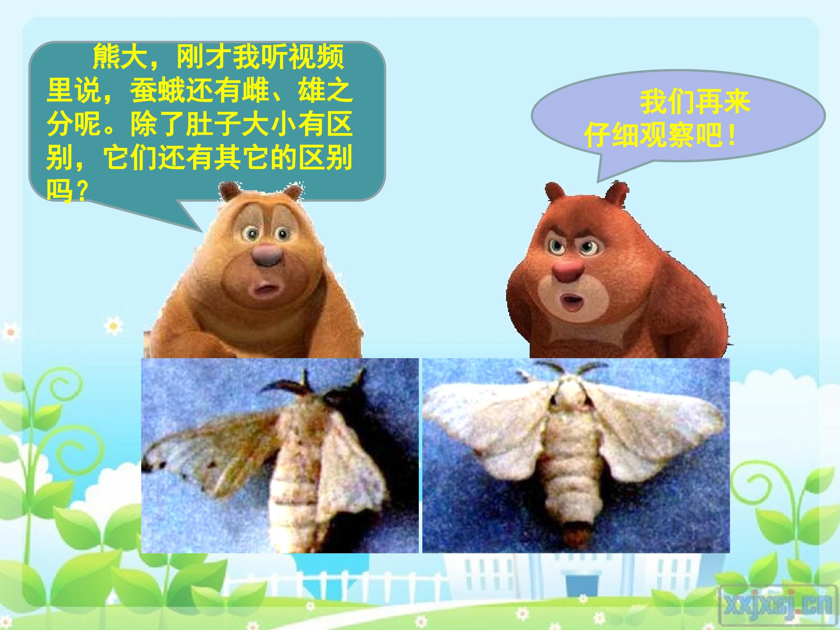 18.jpg