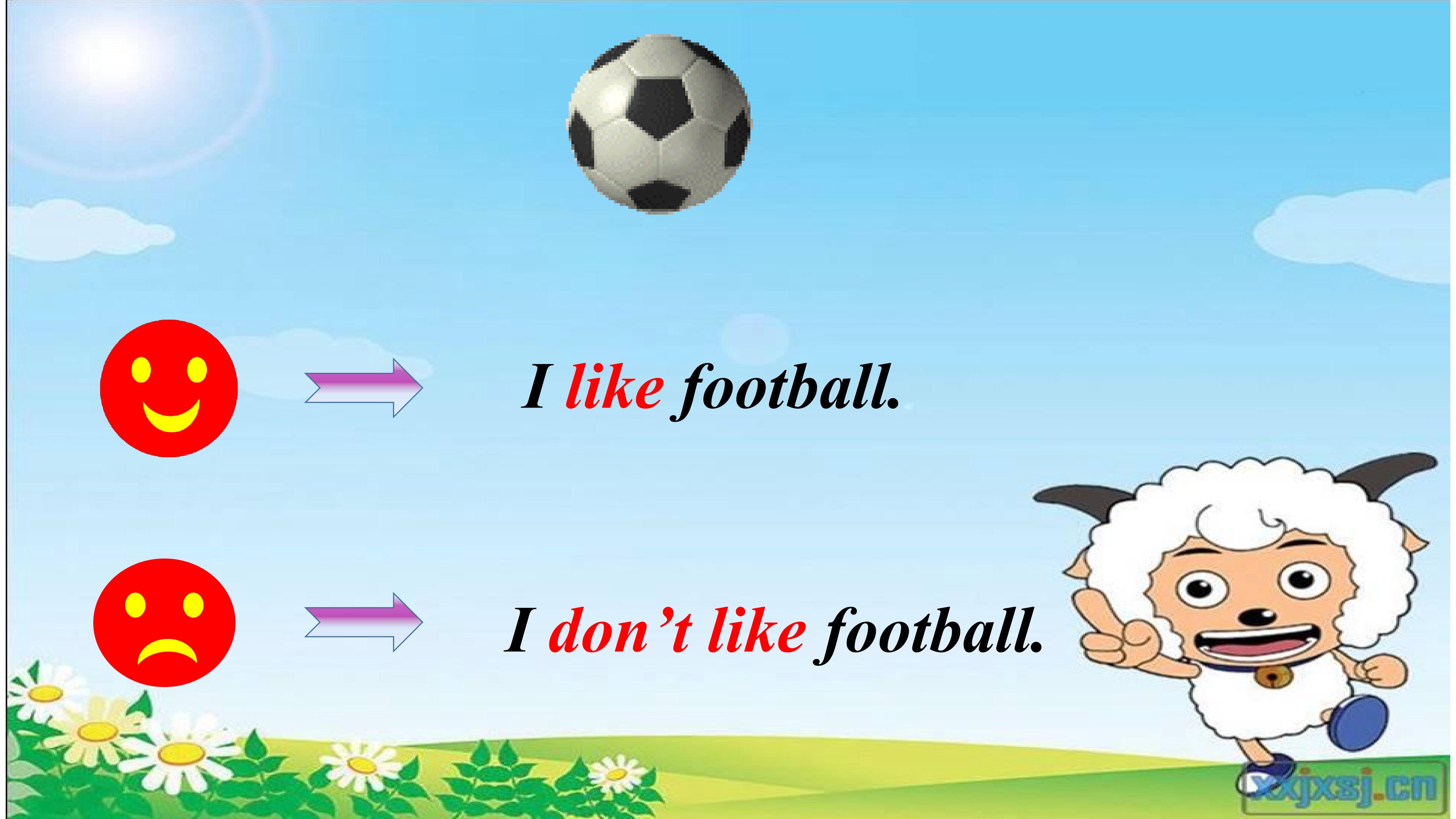 18.jpg