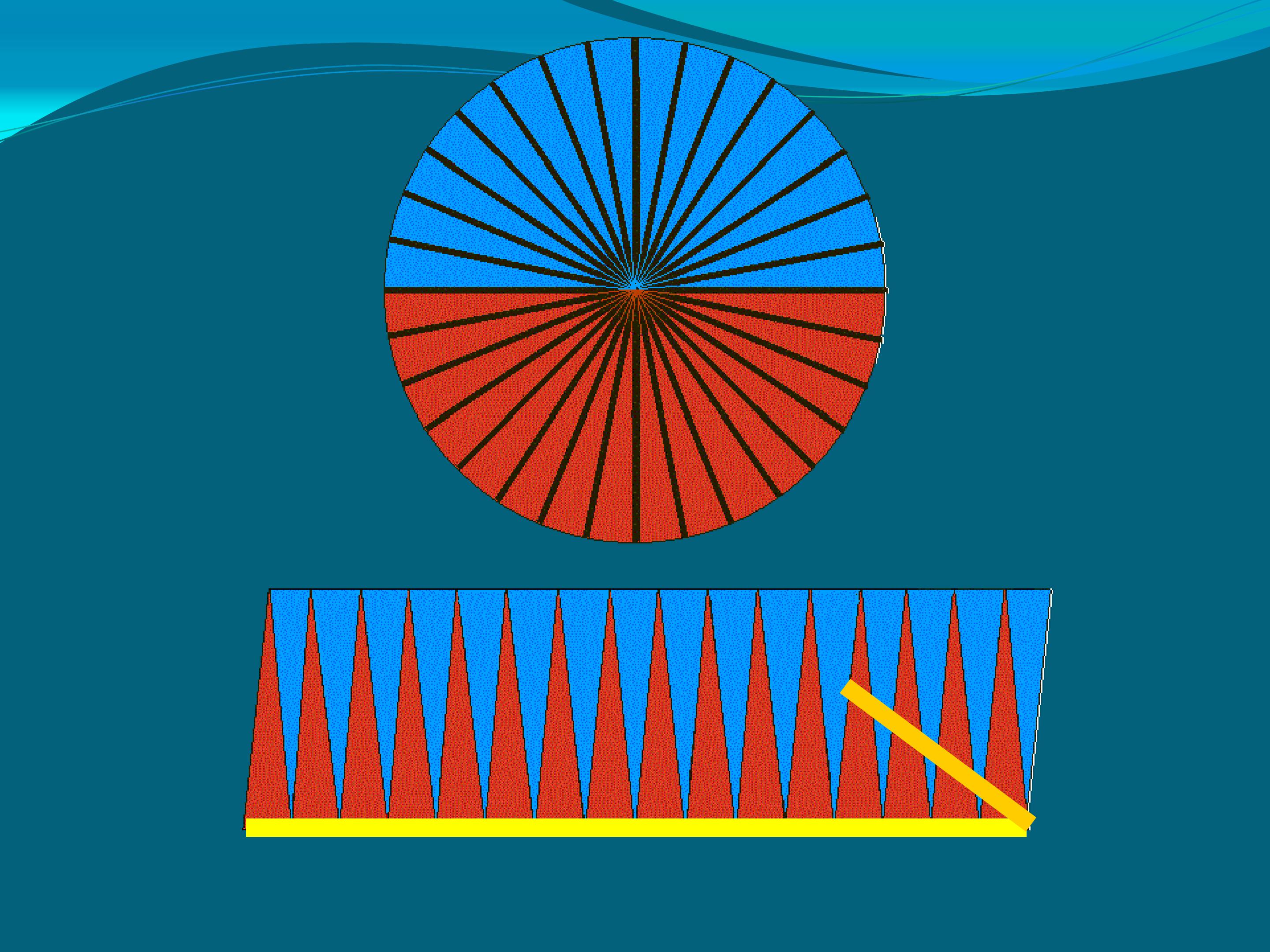 65.jpg