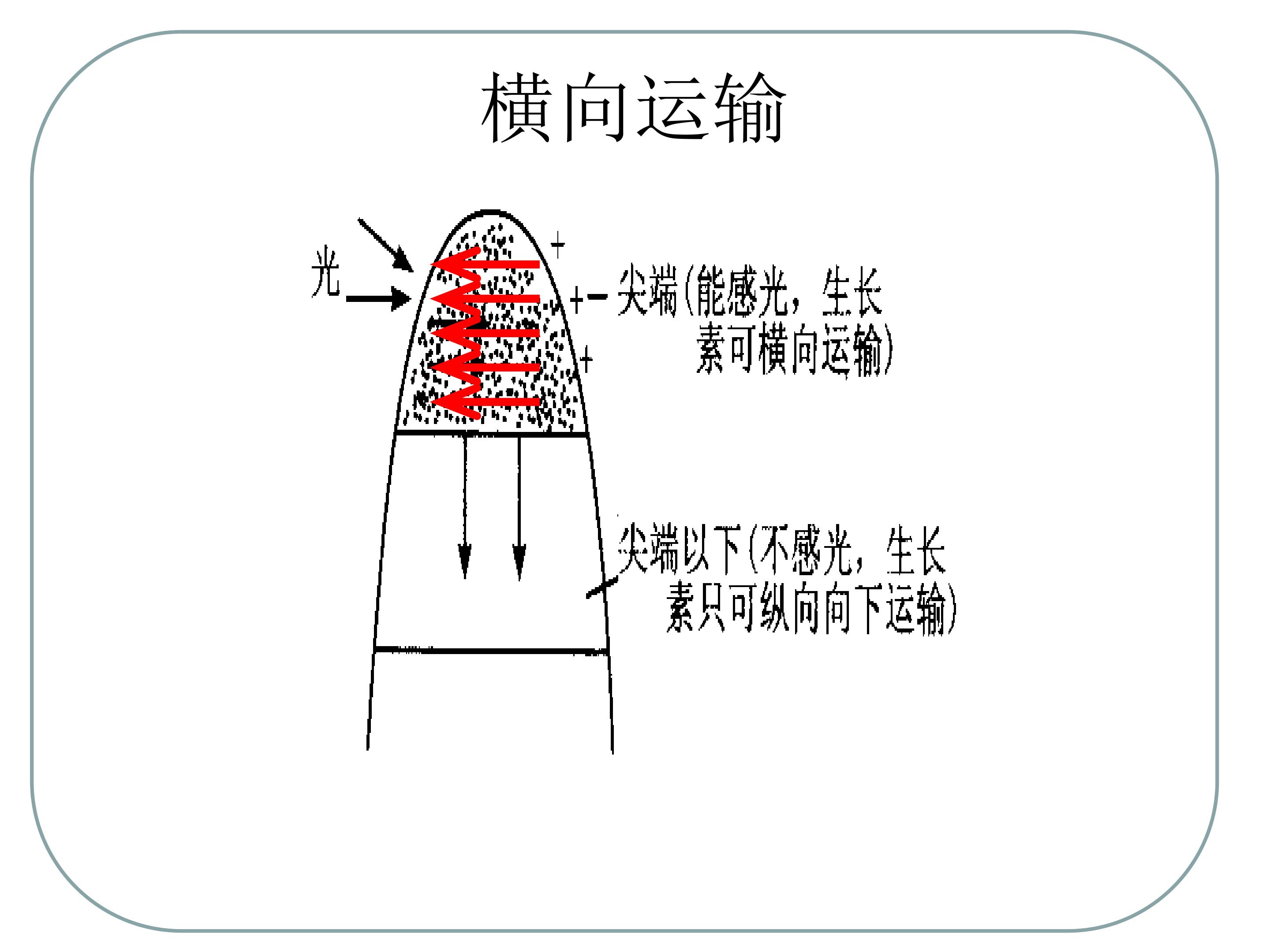 55.jpg