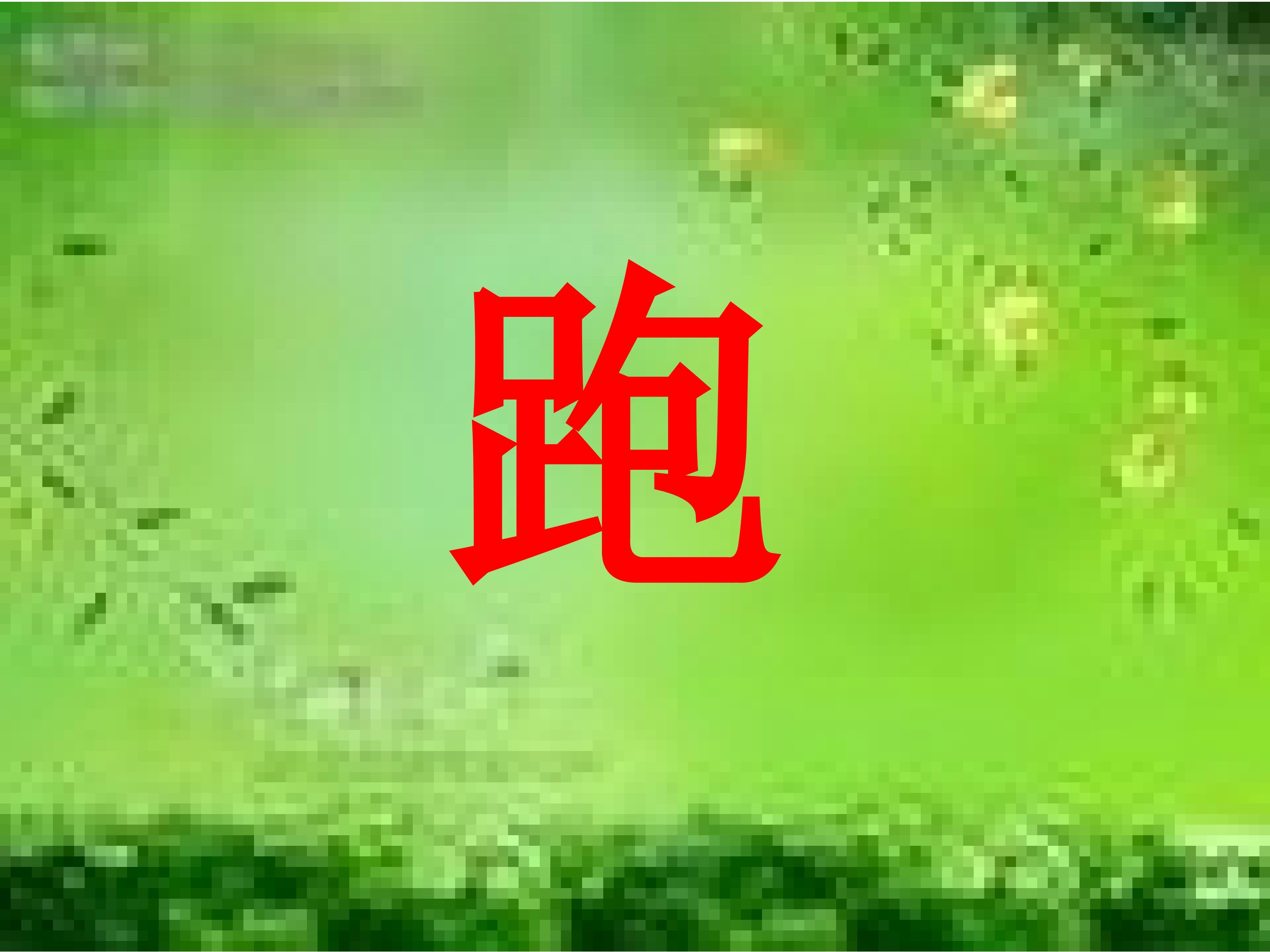 14.jpg