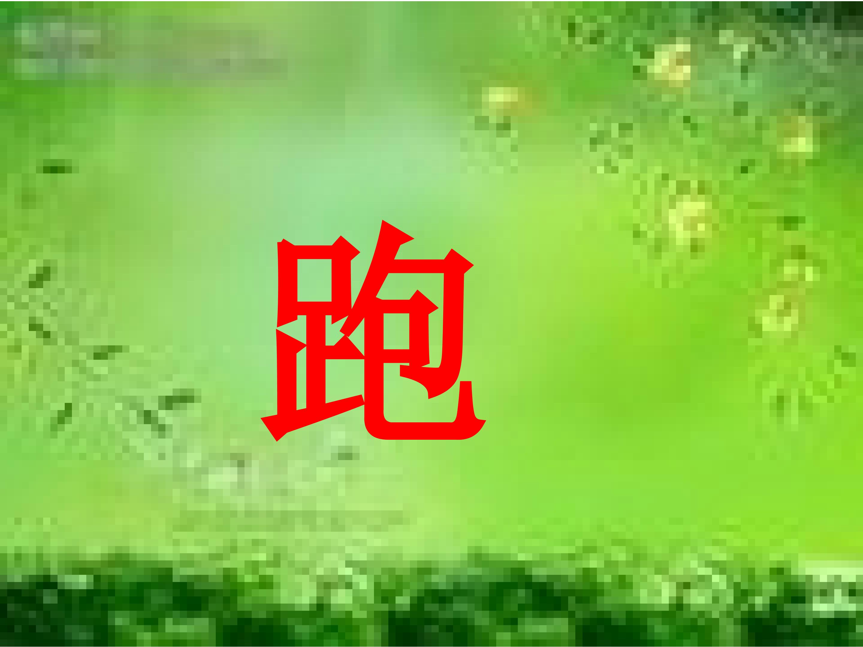 15.jpg