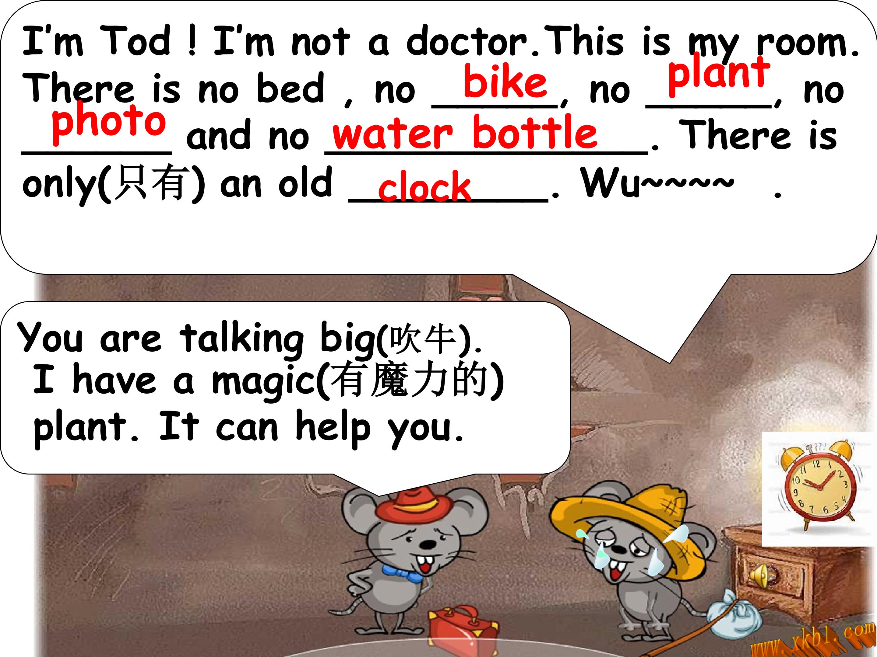 31.jpg