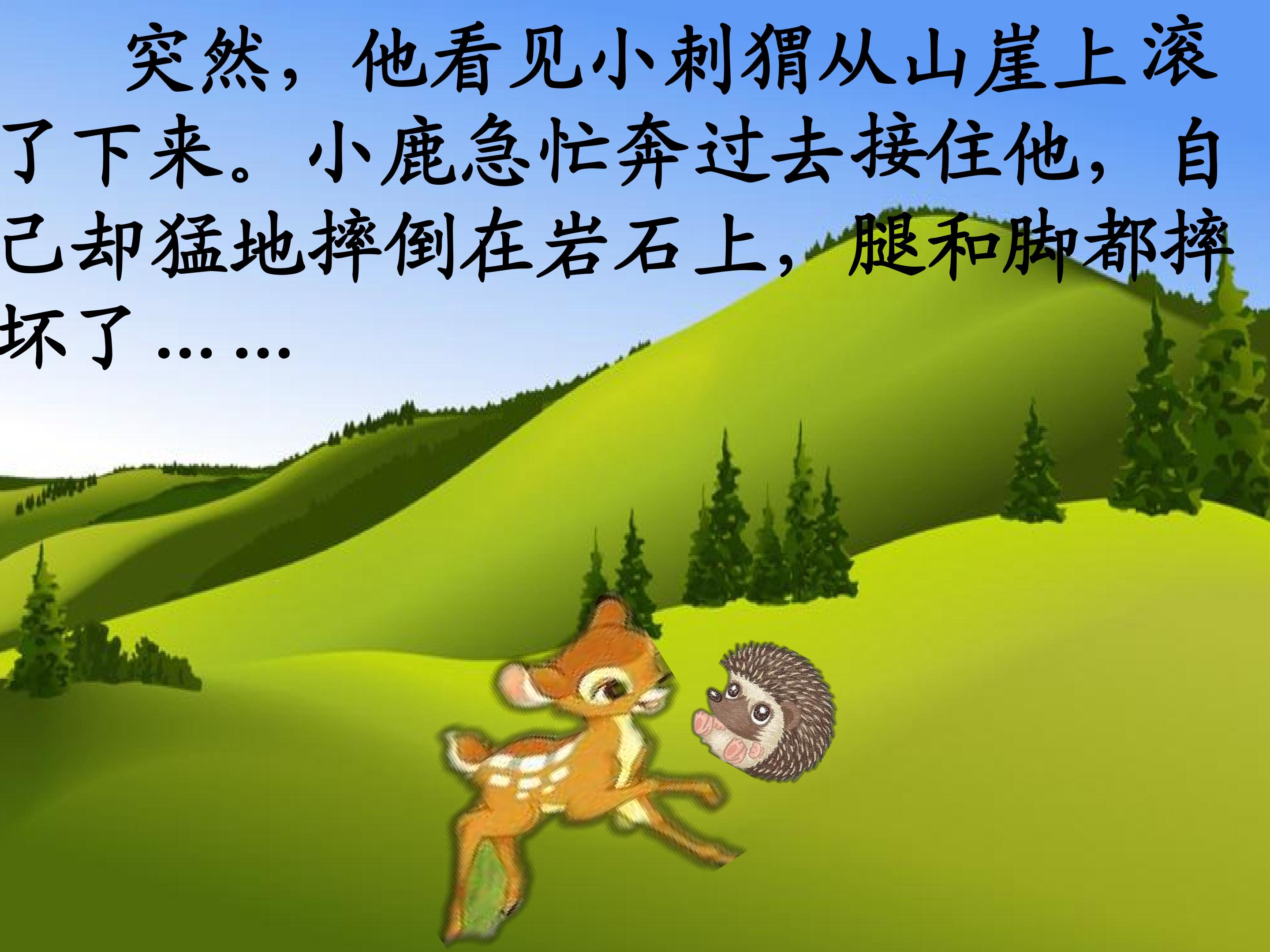 13.jpg