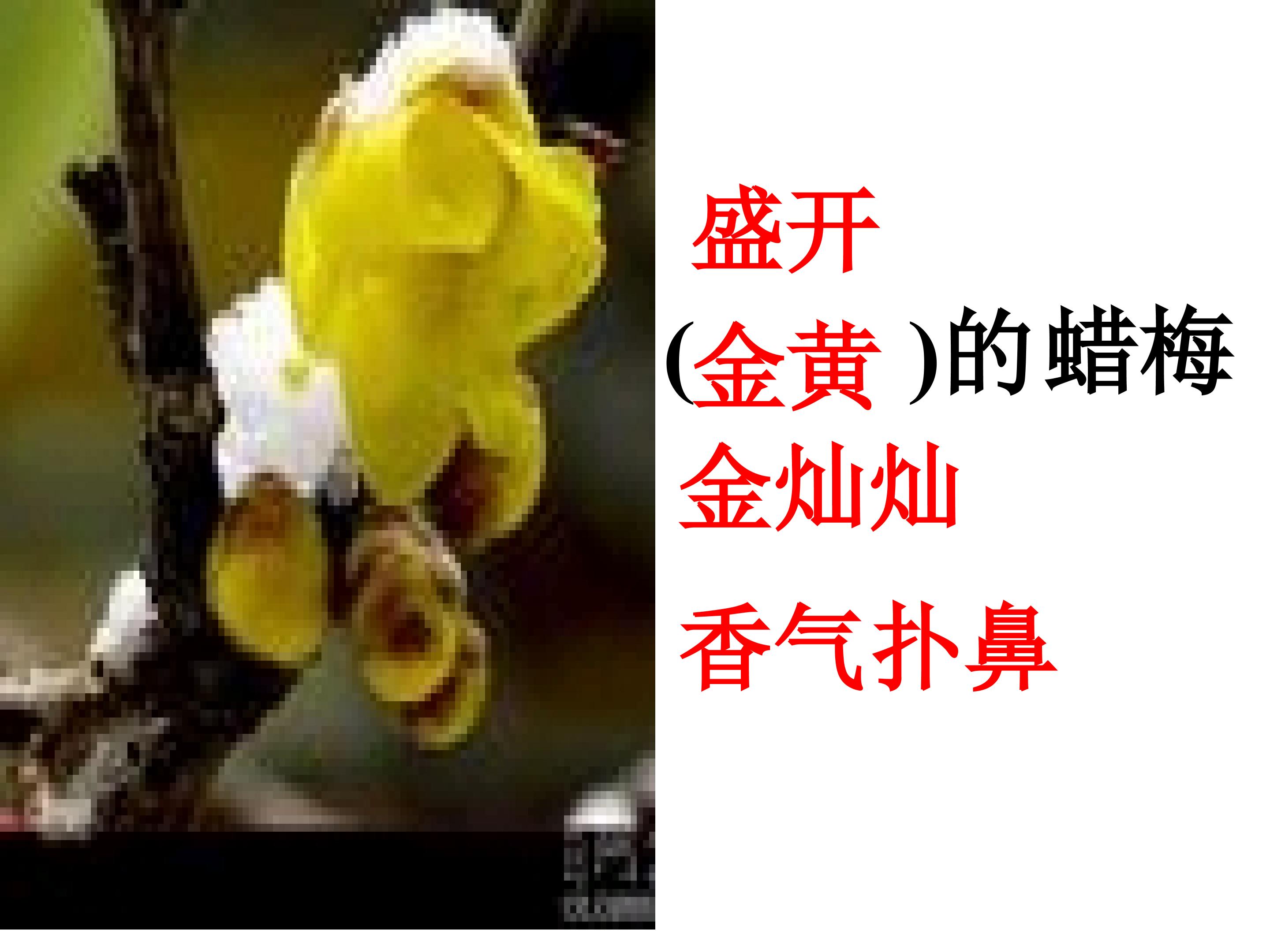 40.jpg