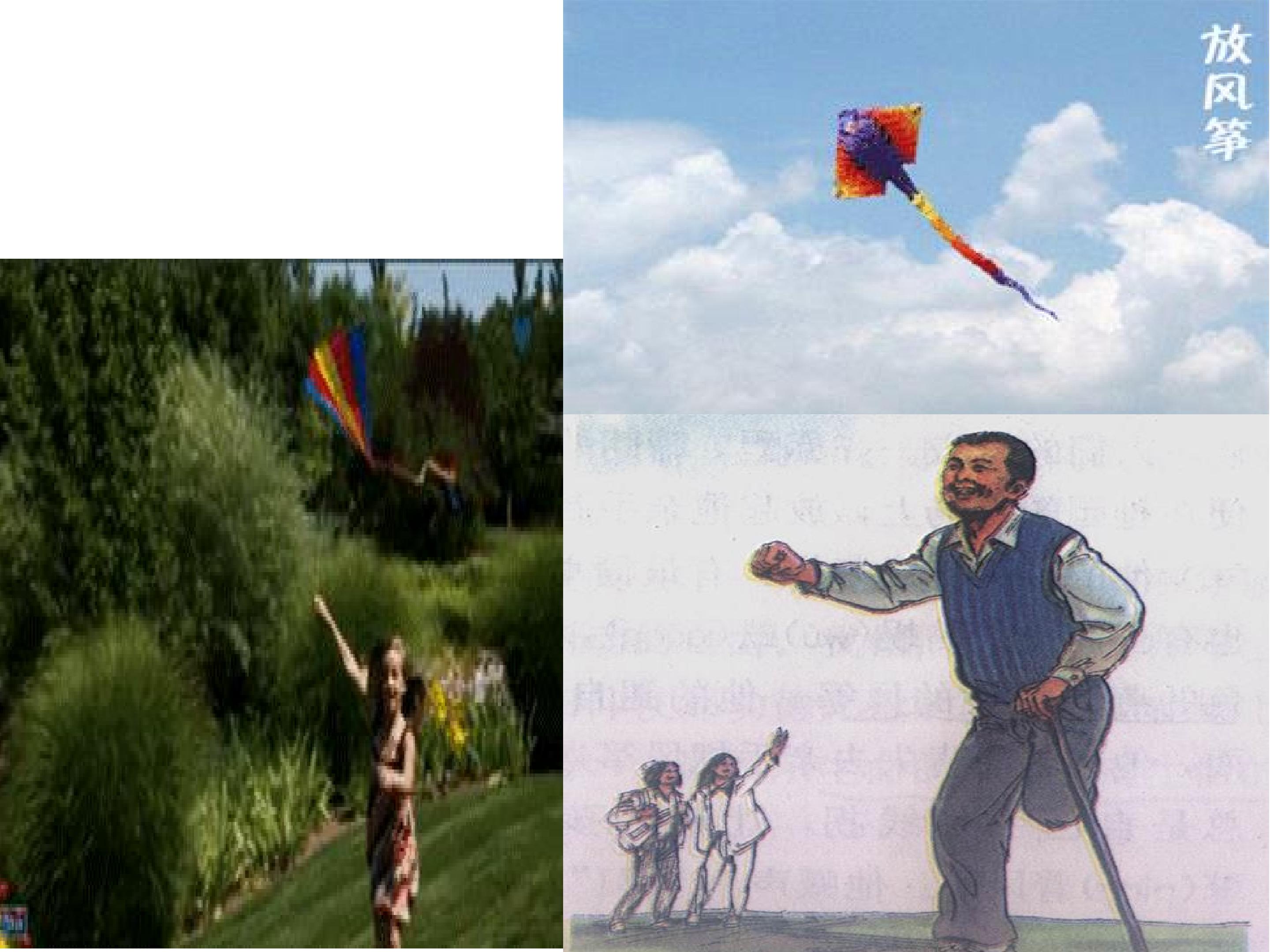 36.jpg