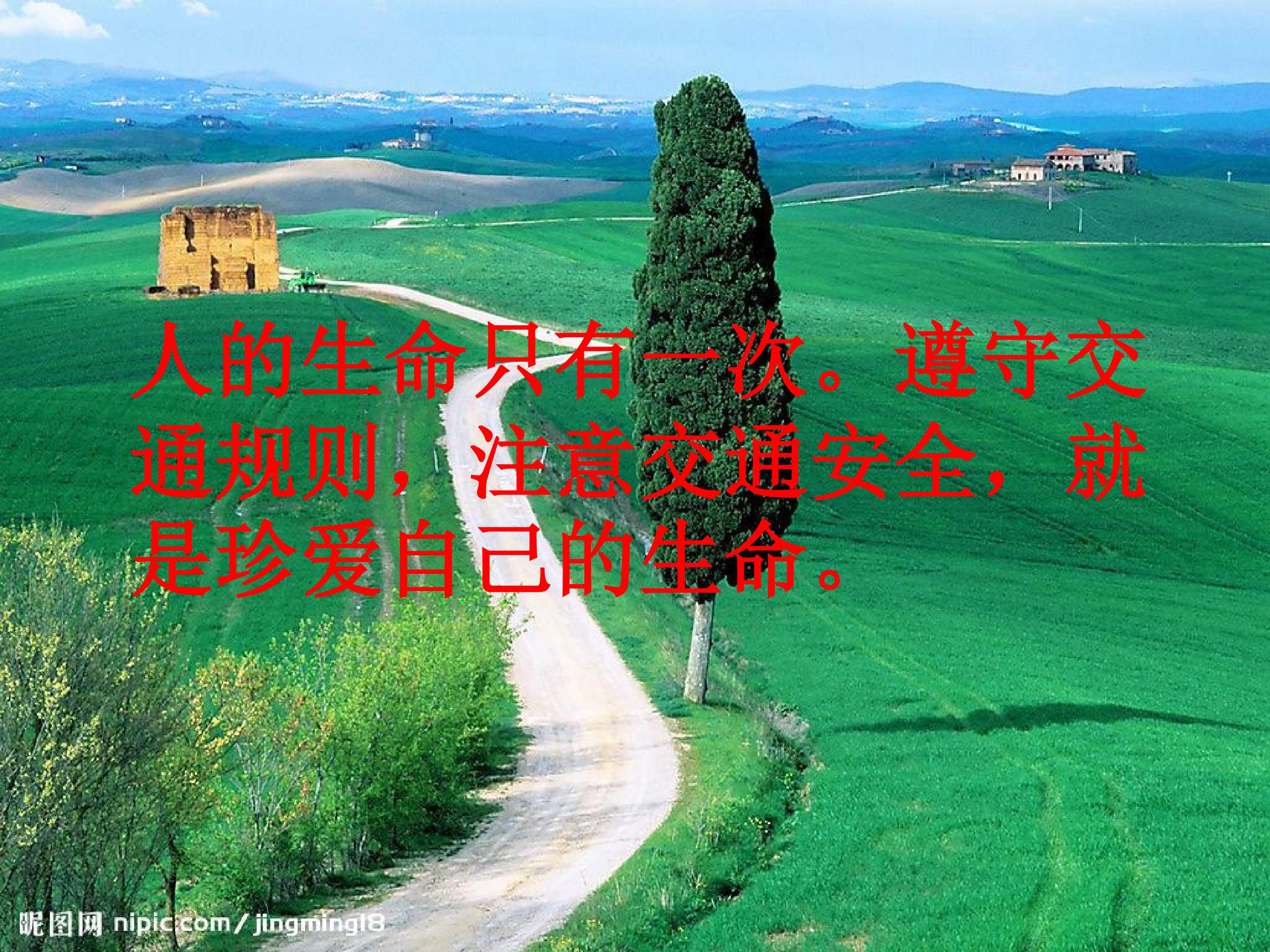 19.jpg