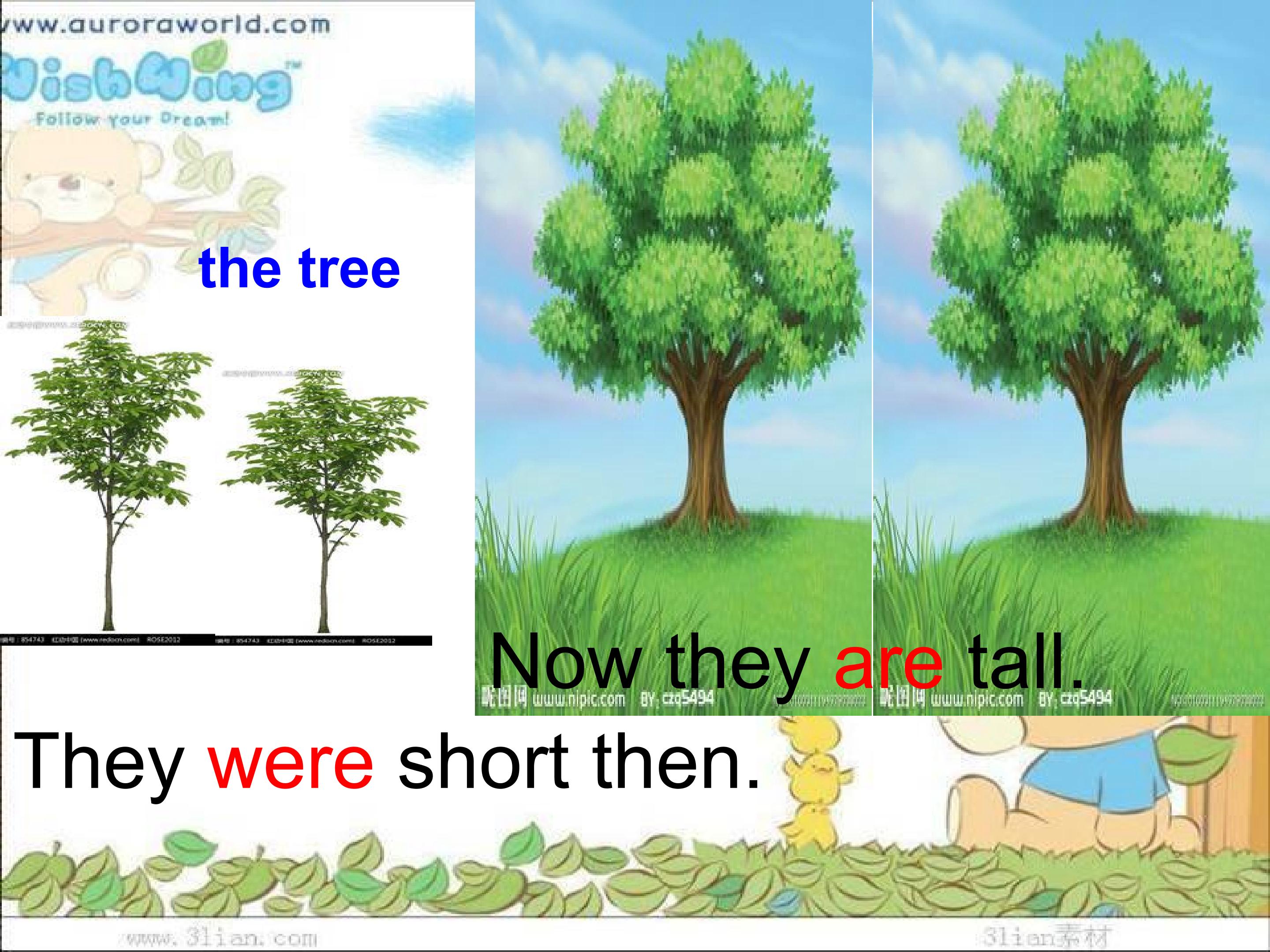 16.jpg