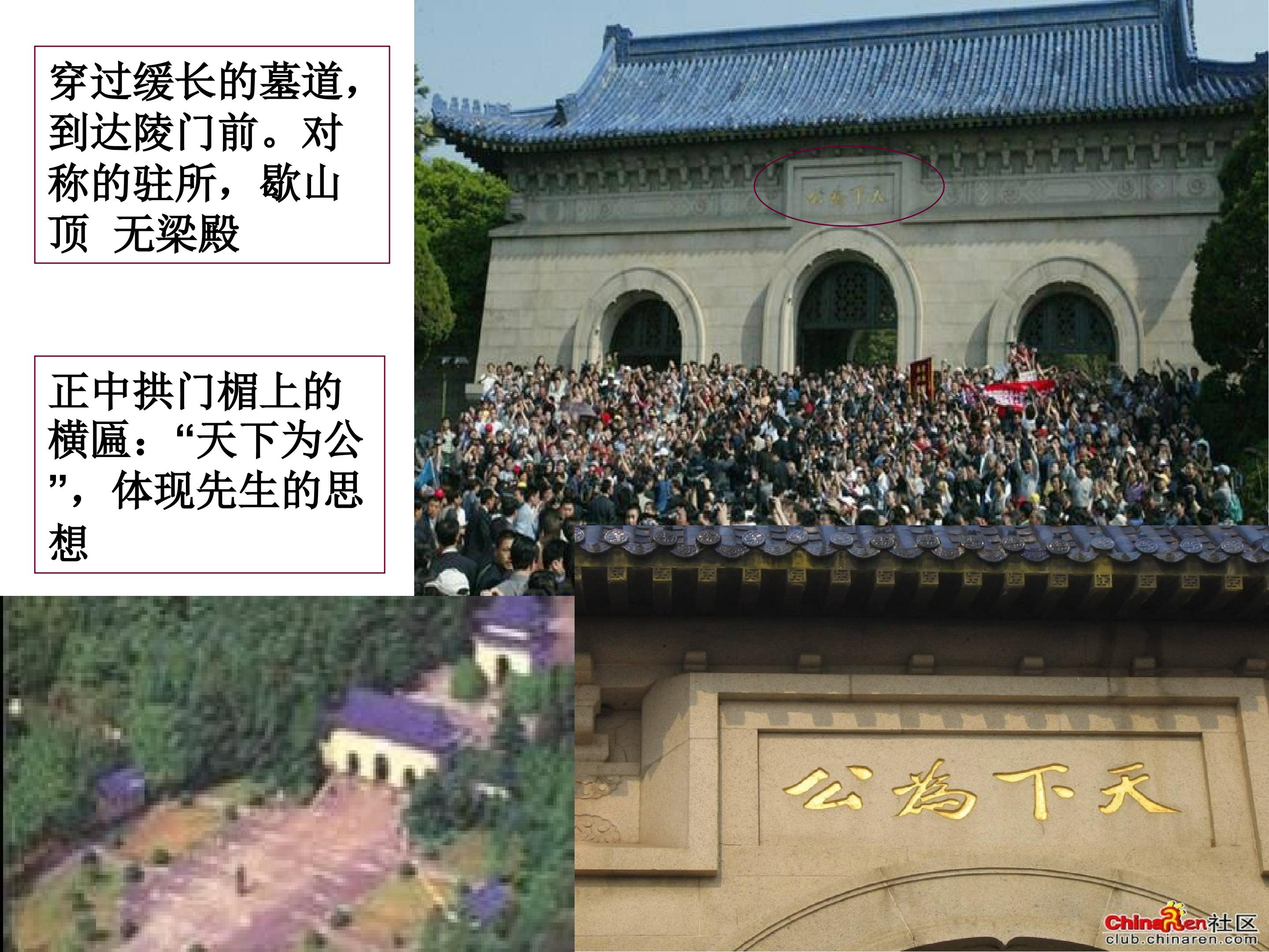 48.jpg