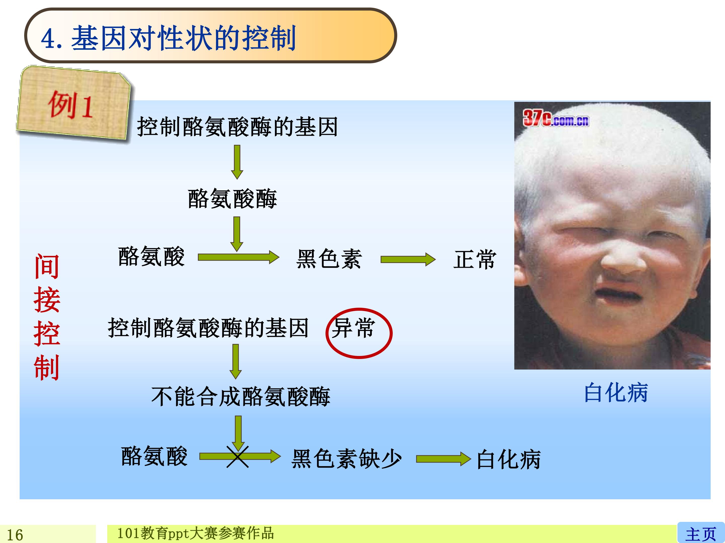 17.jpg