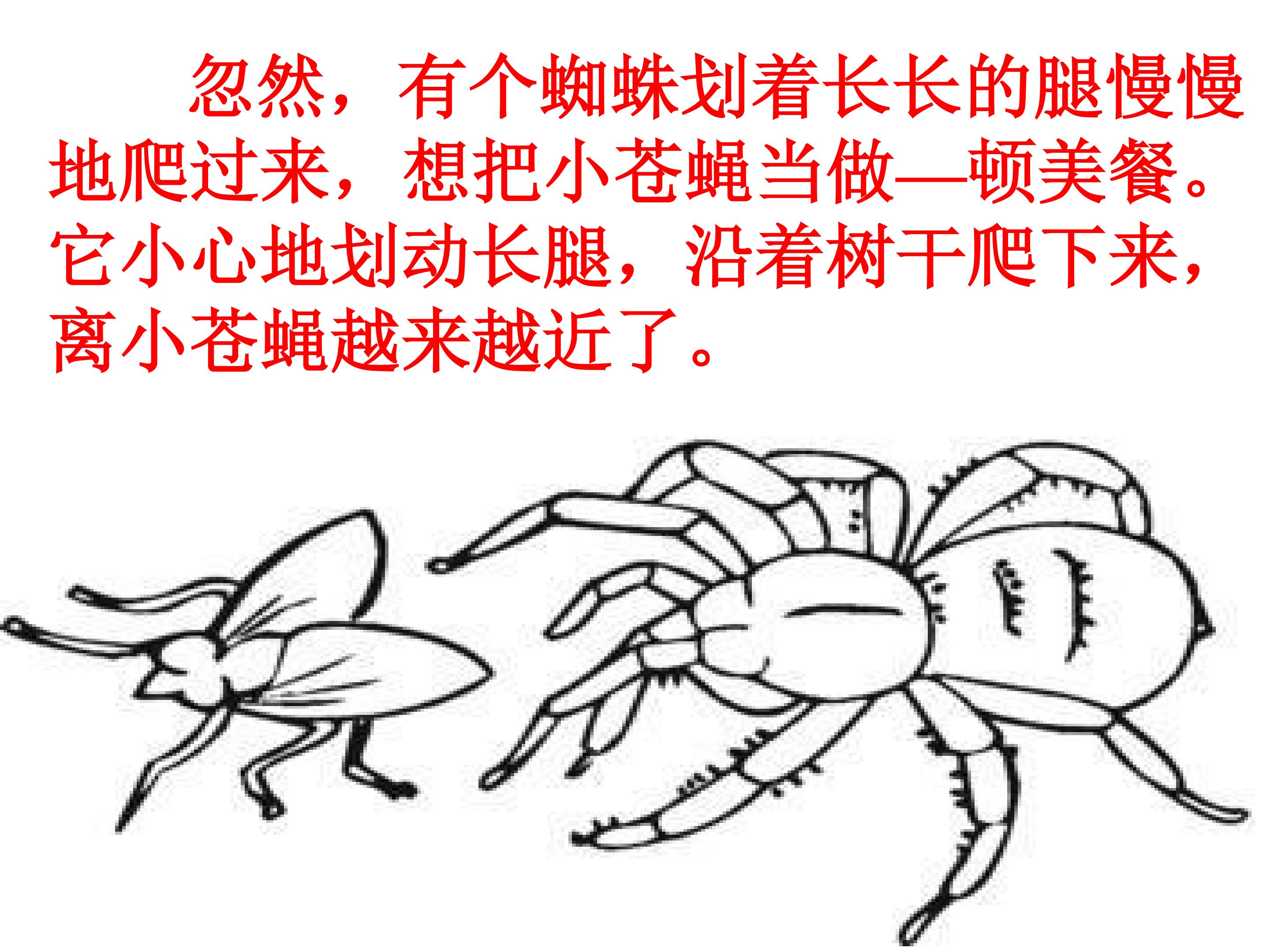 15.jpg