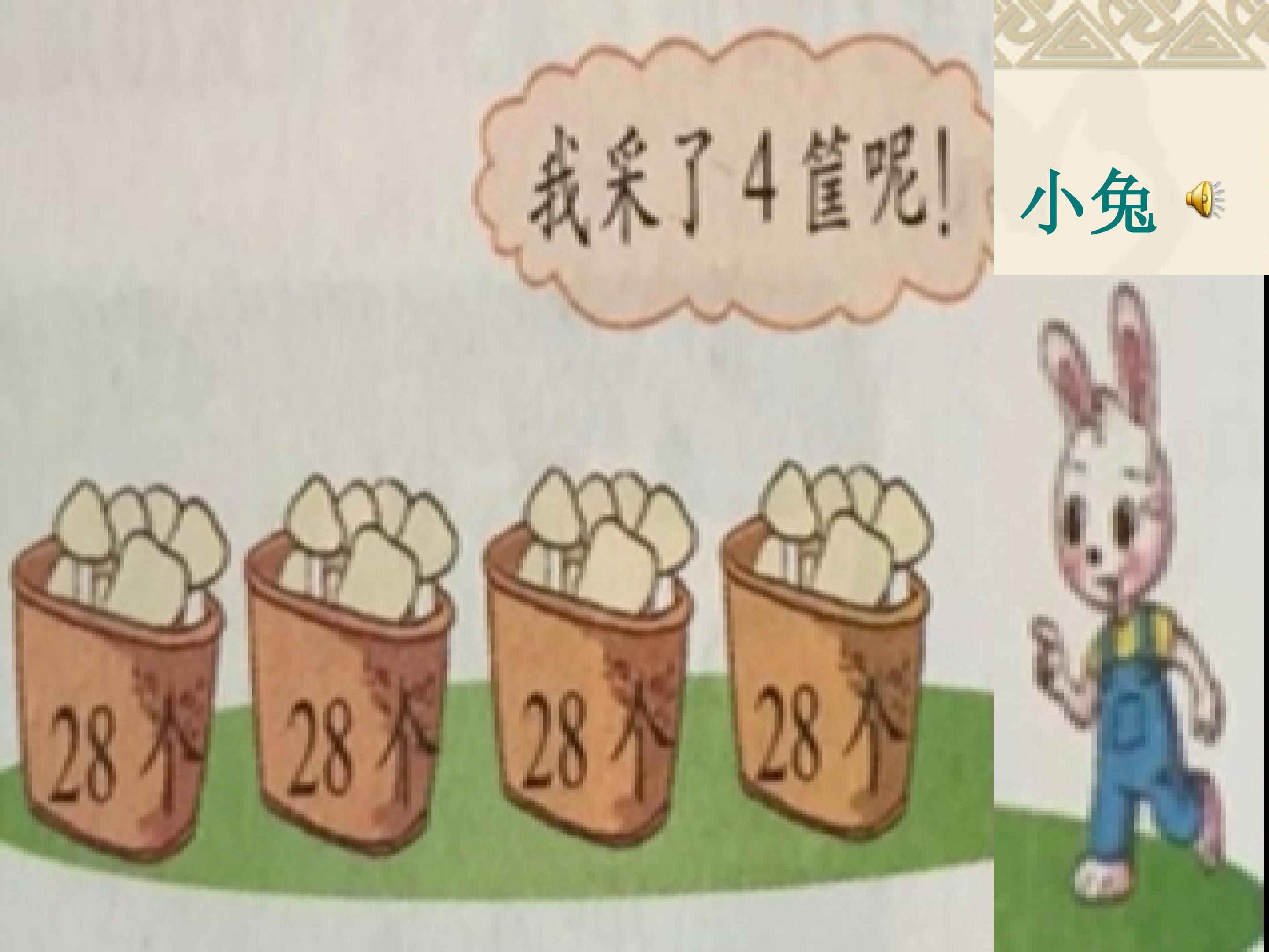 25.jpg