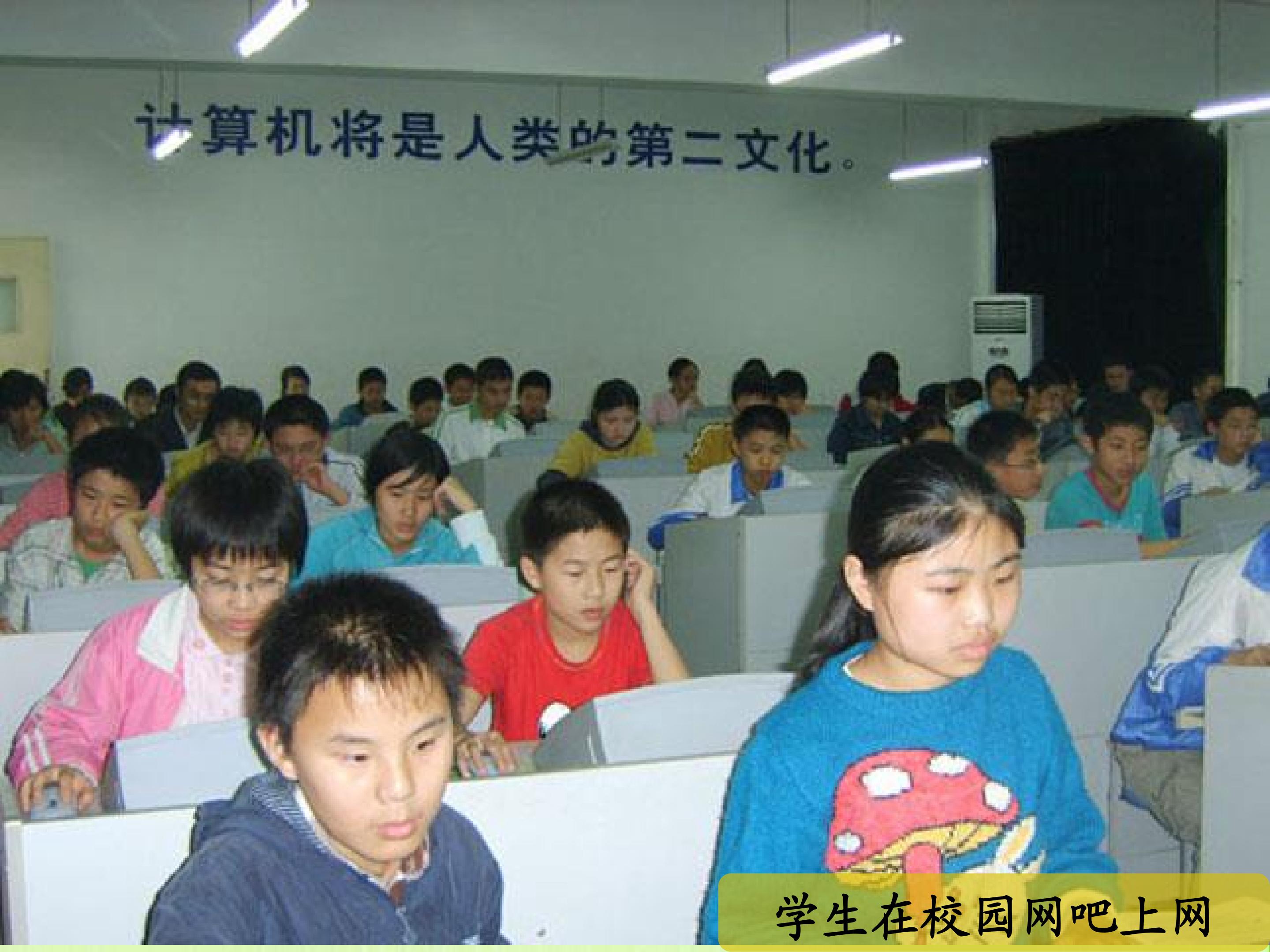 53.jpg