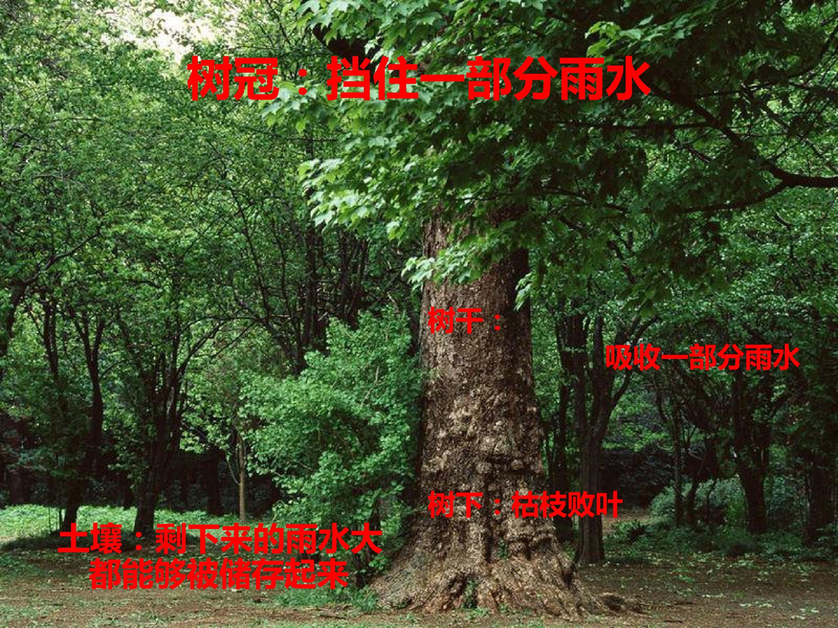 45.jpg