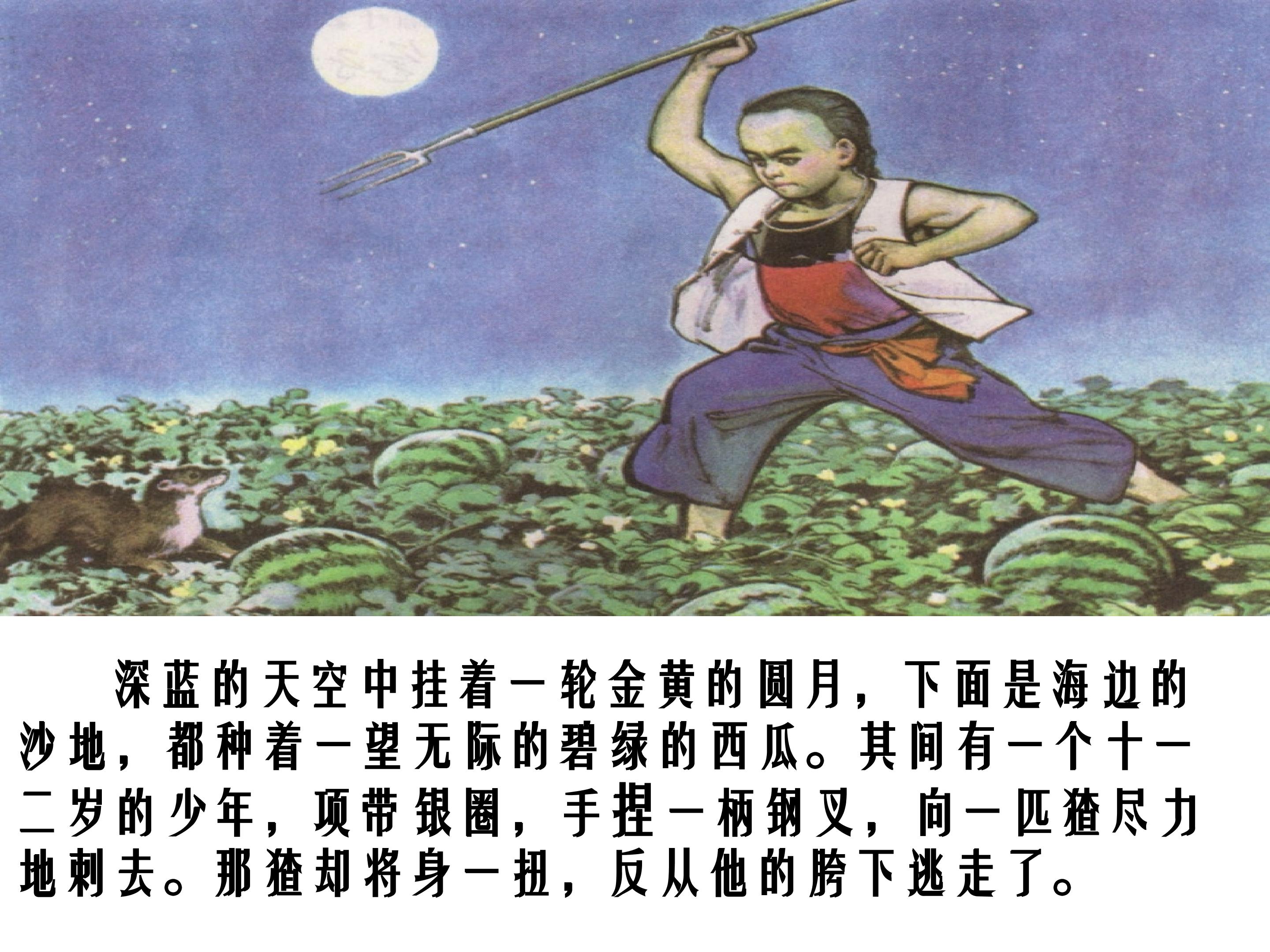 1.jpg