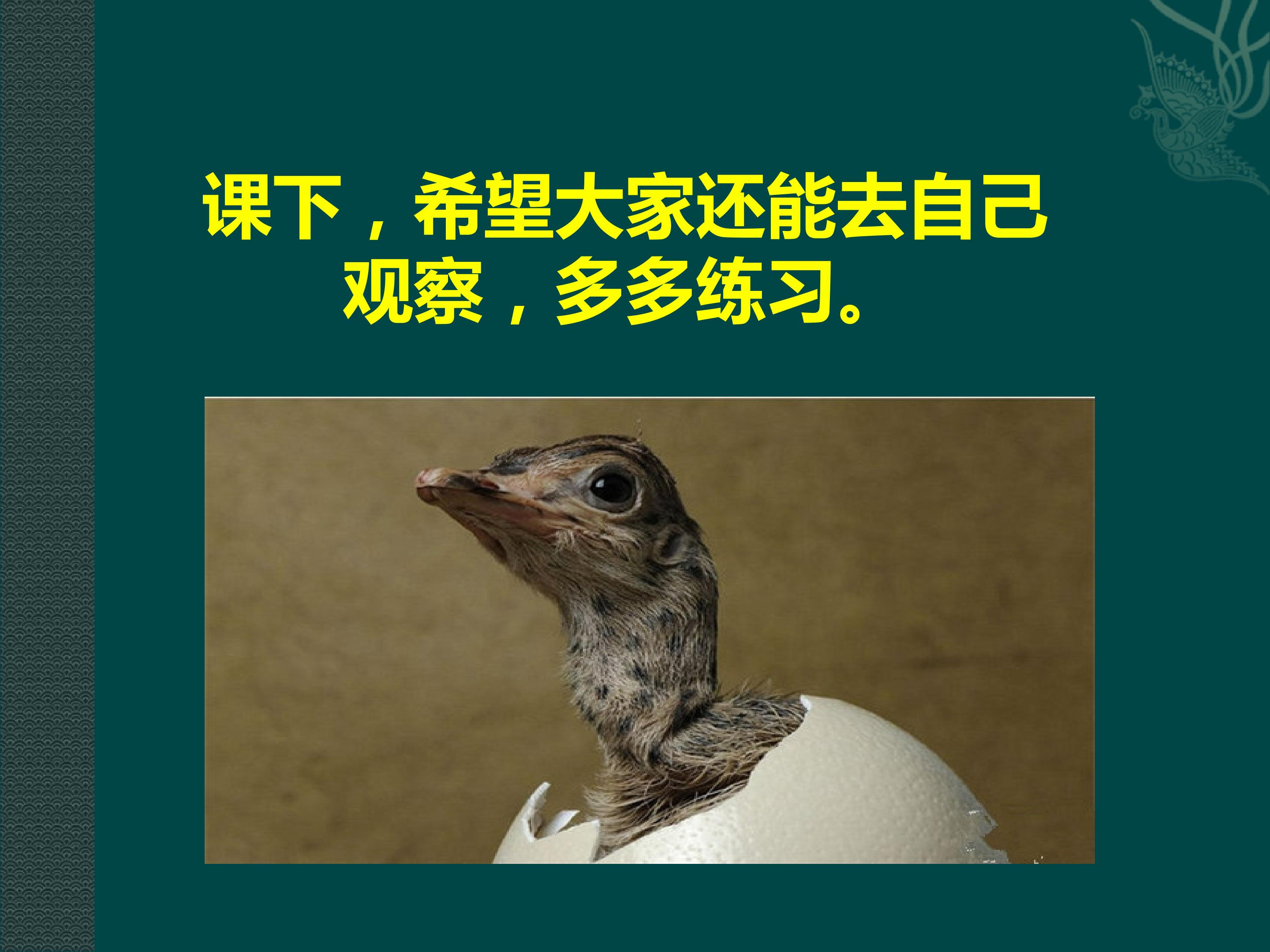 42.jpg