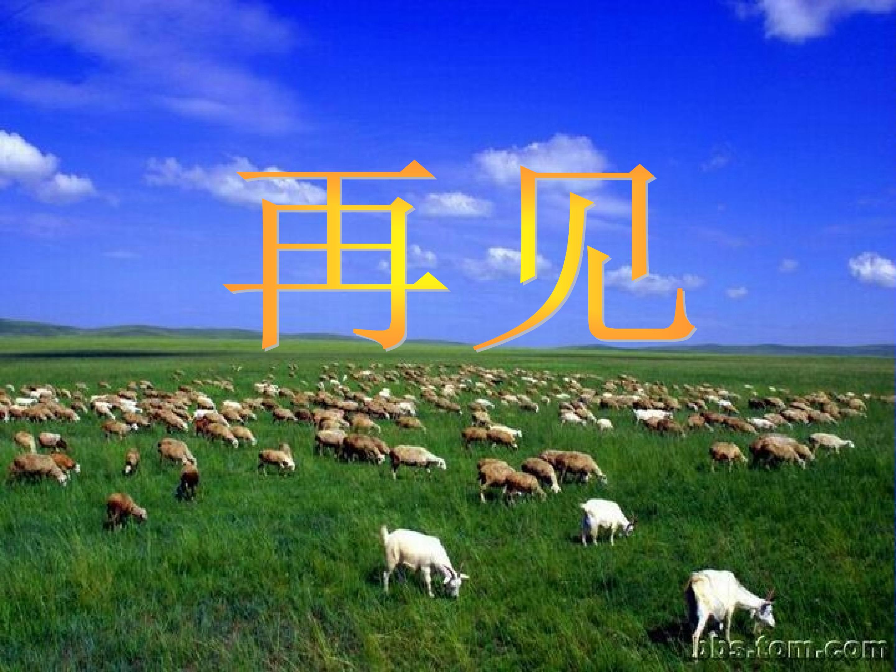 17.jpg