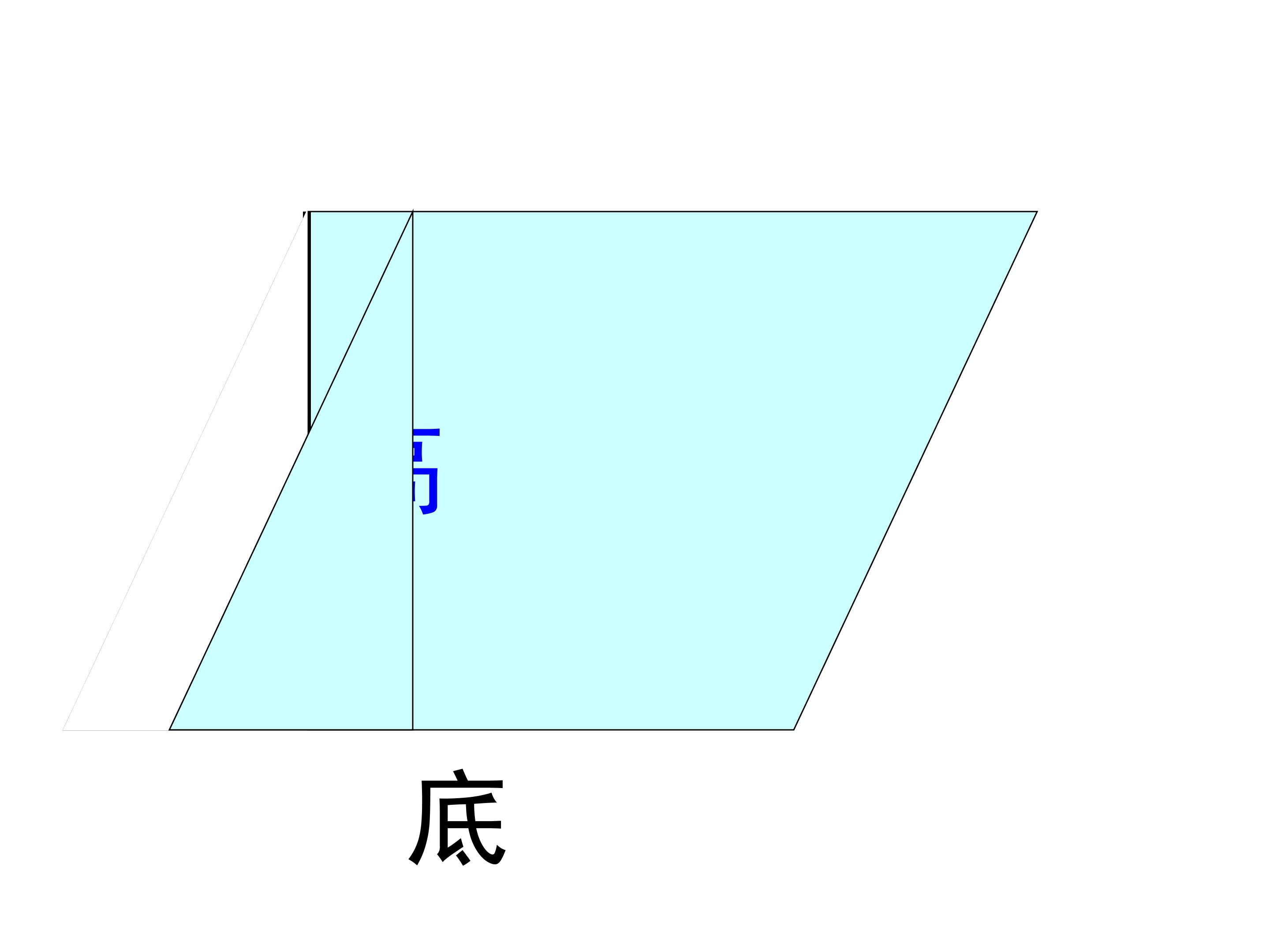 65.jpg