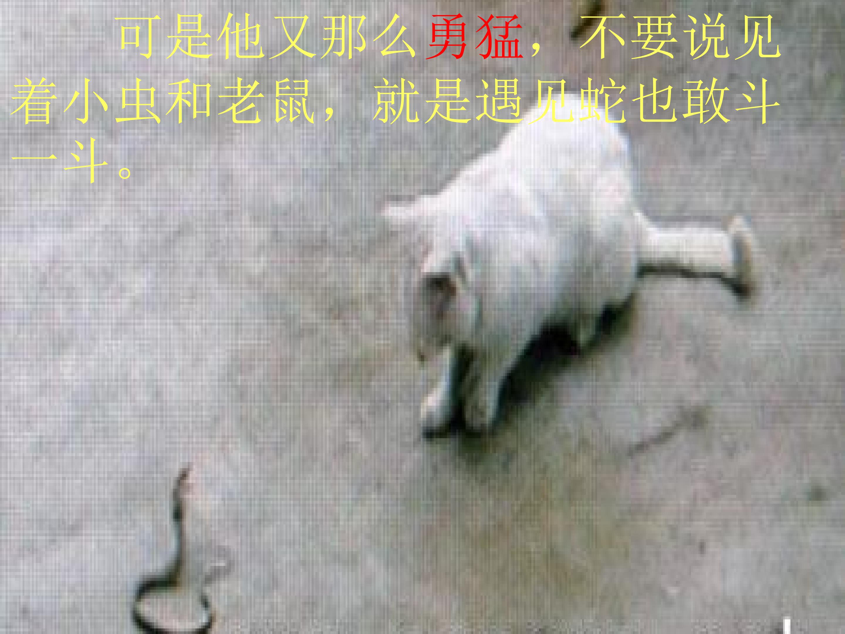 18.jpg