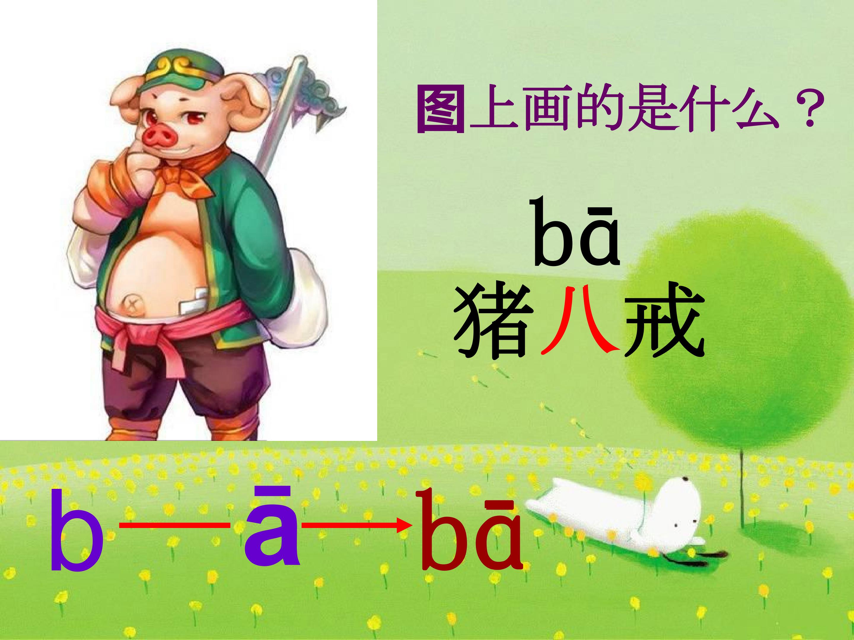 18.jpg