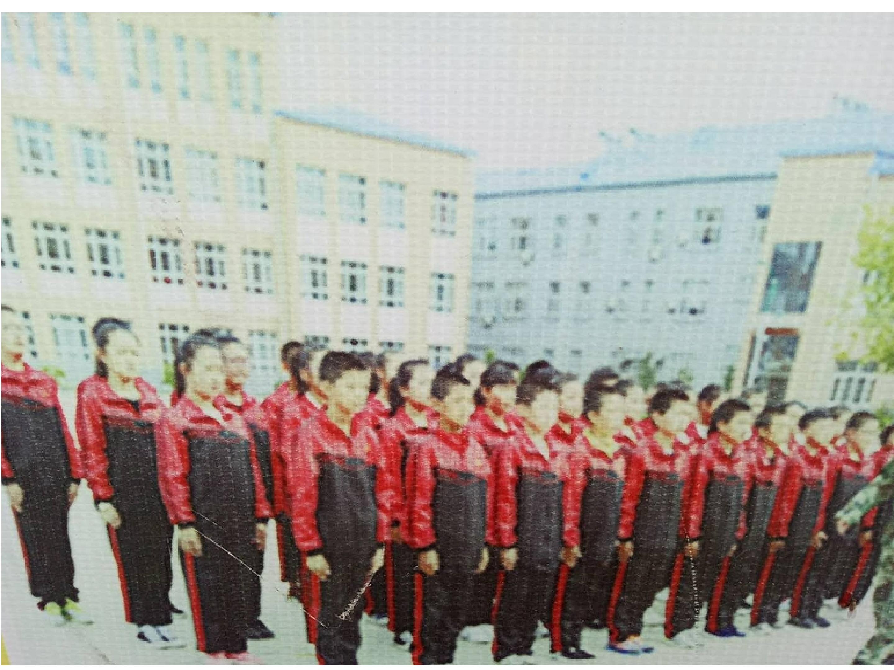 41.jpg