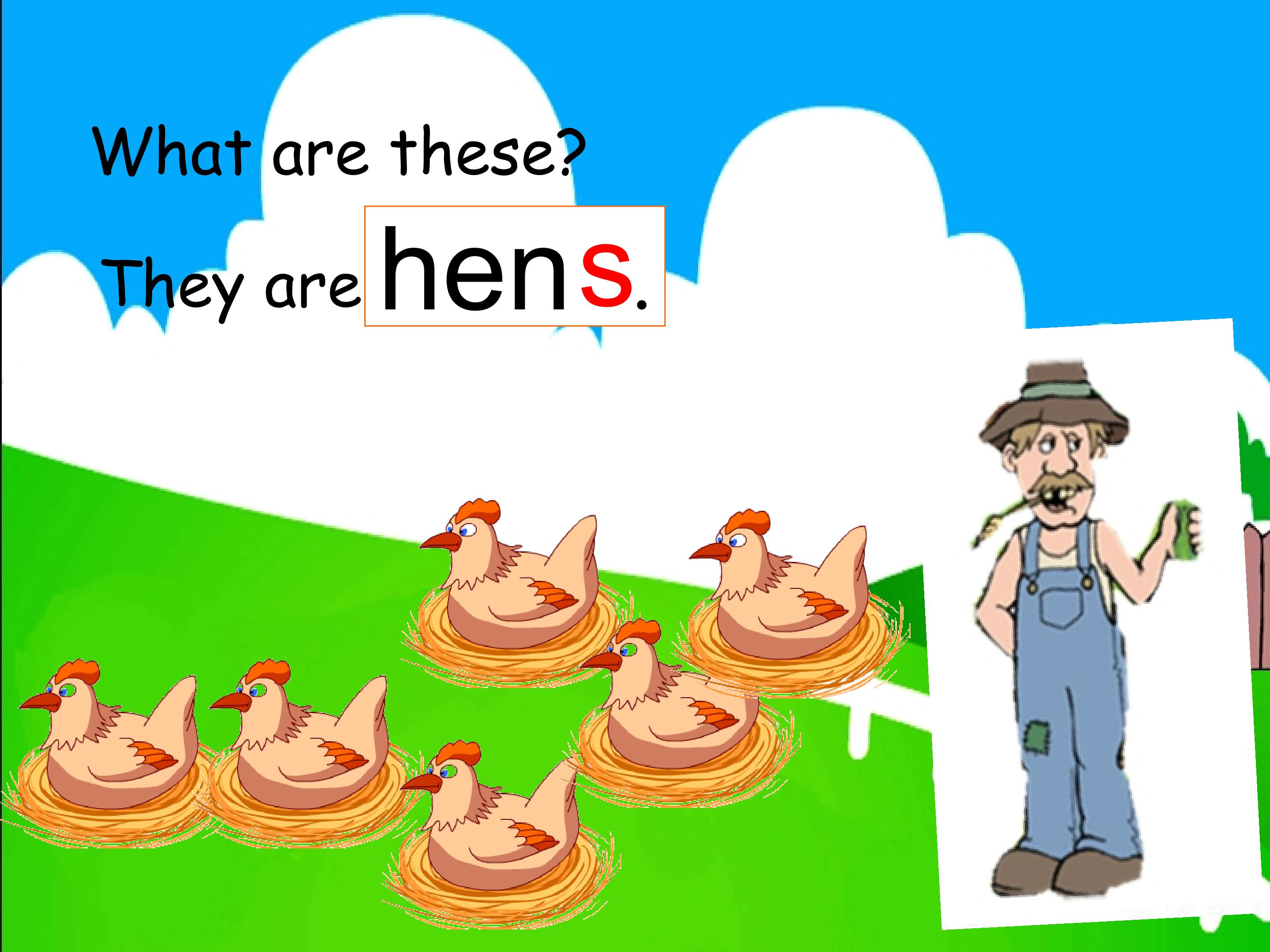 14.jpg