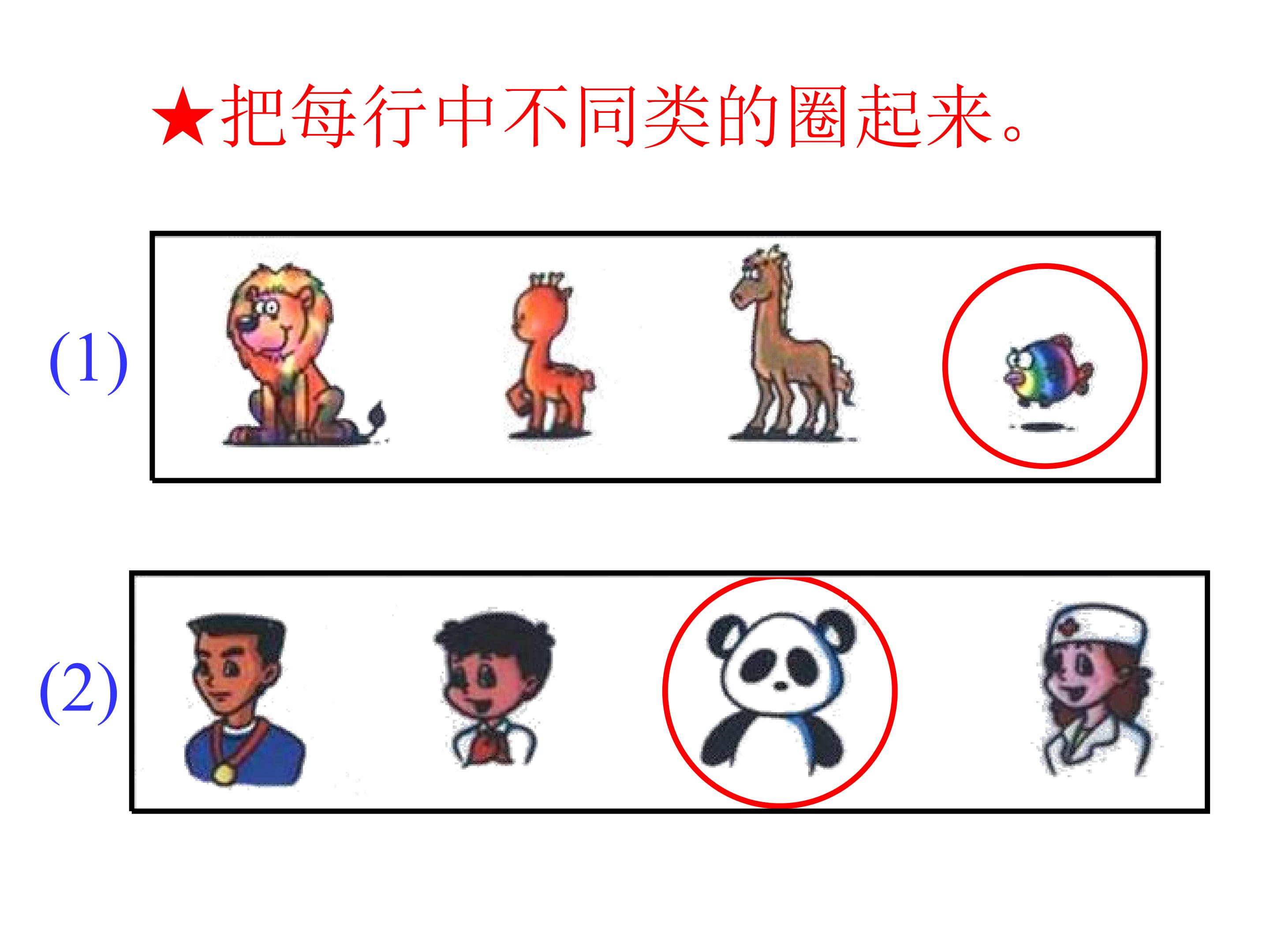 17.jpg