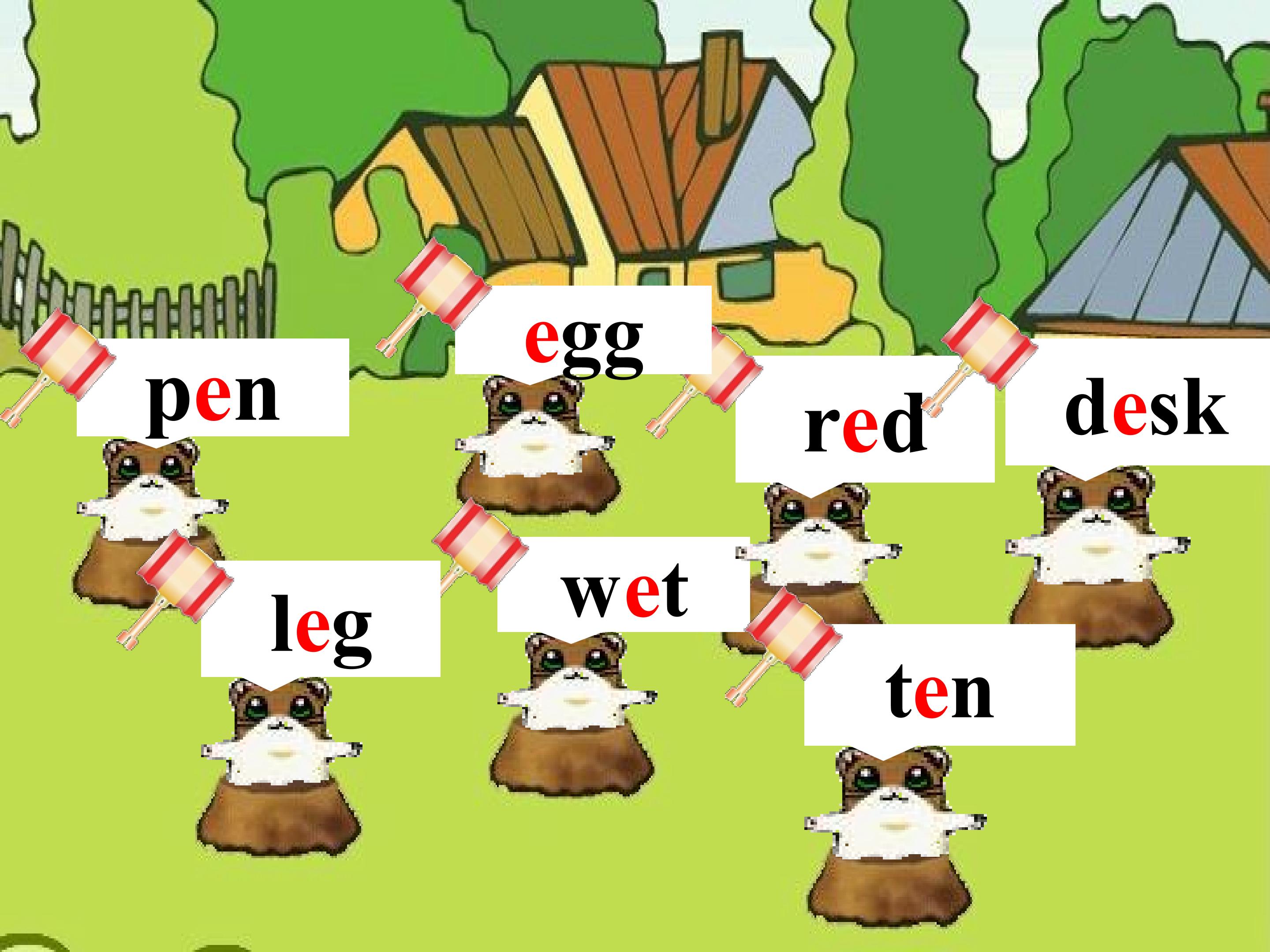15.jpg