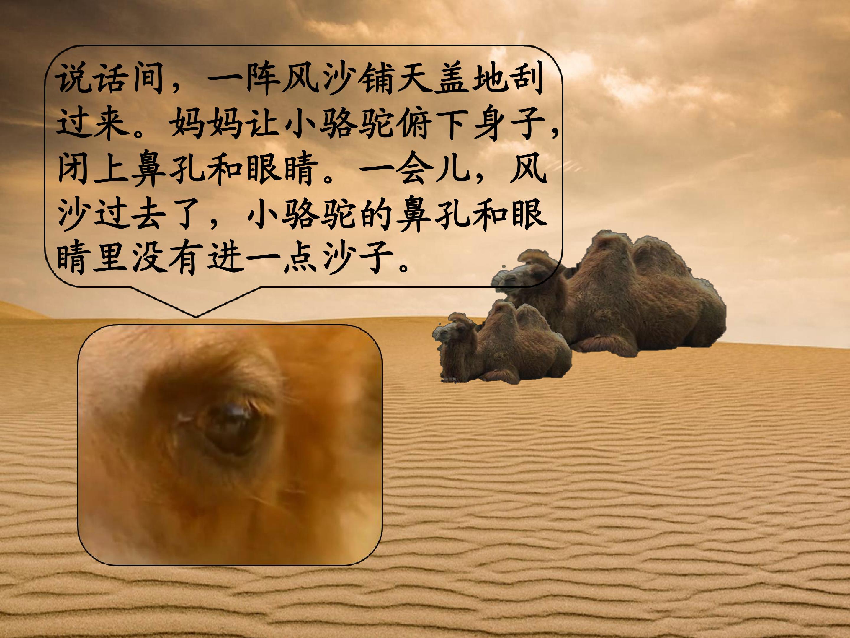 25.jpg
