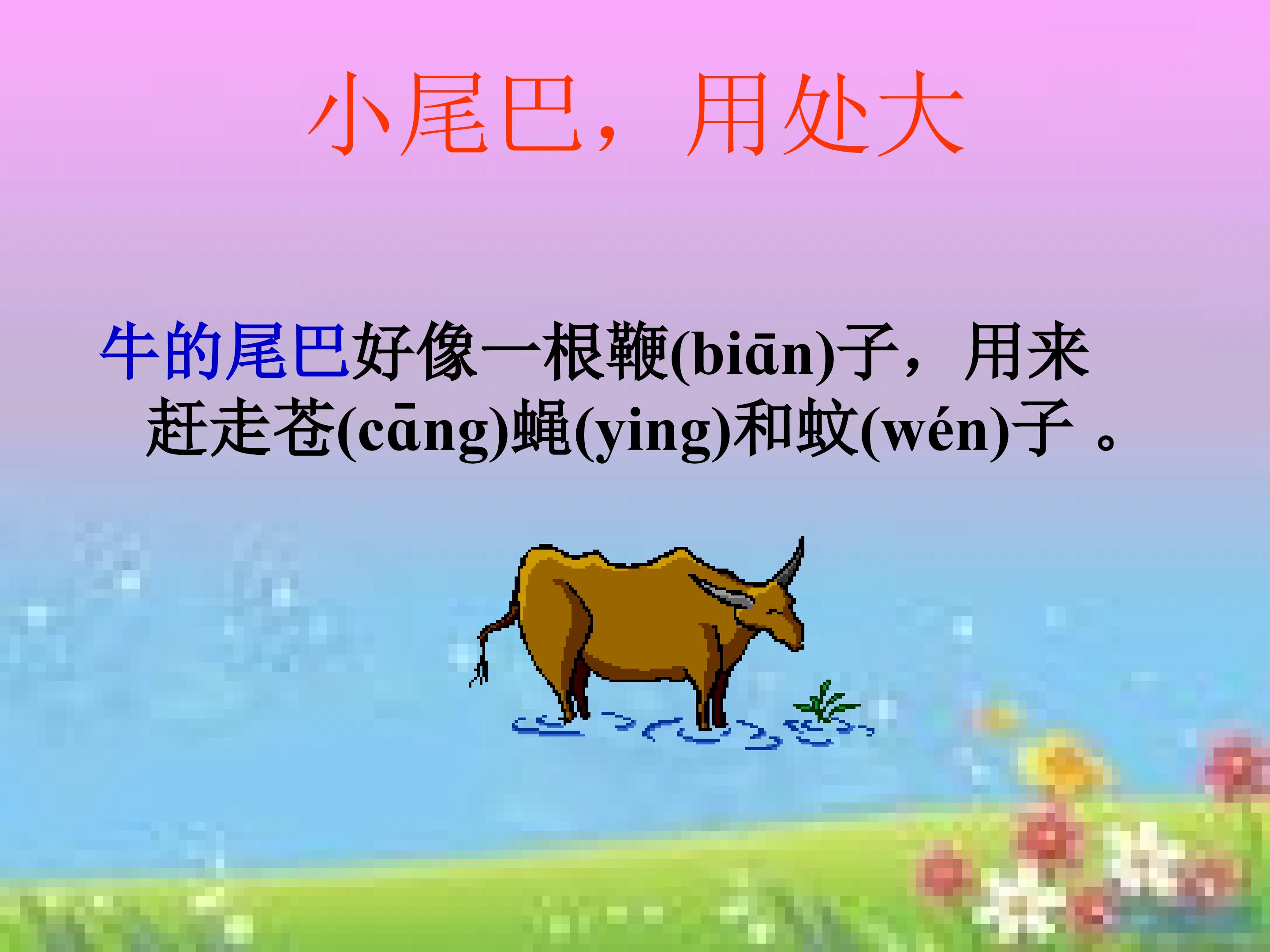 44.jpg