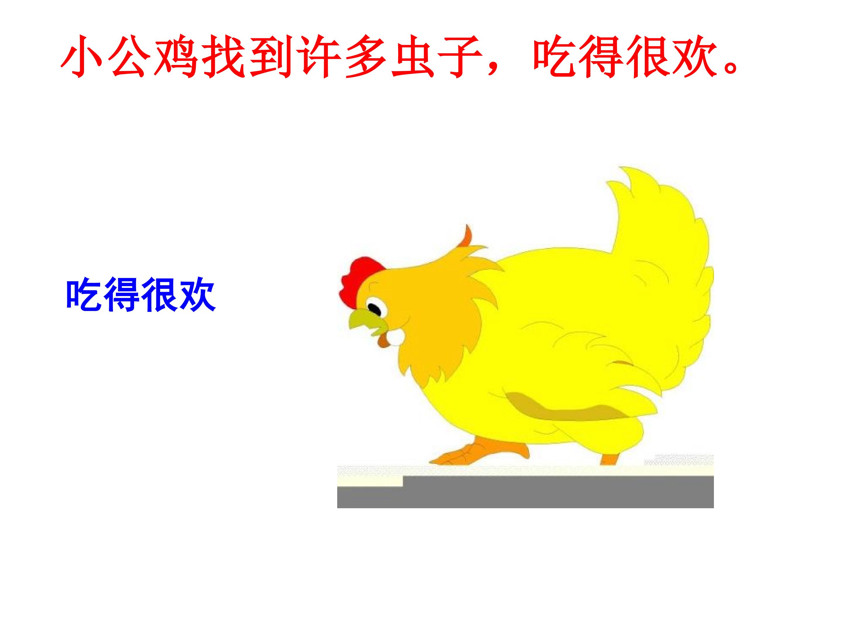 13.jpg