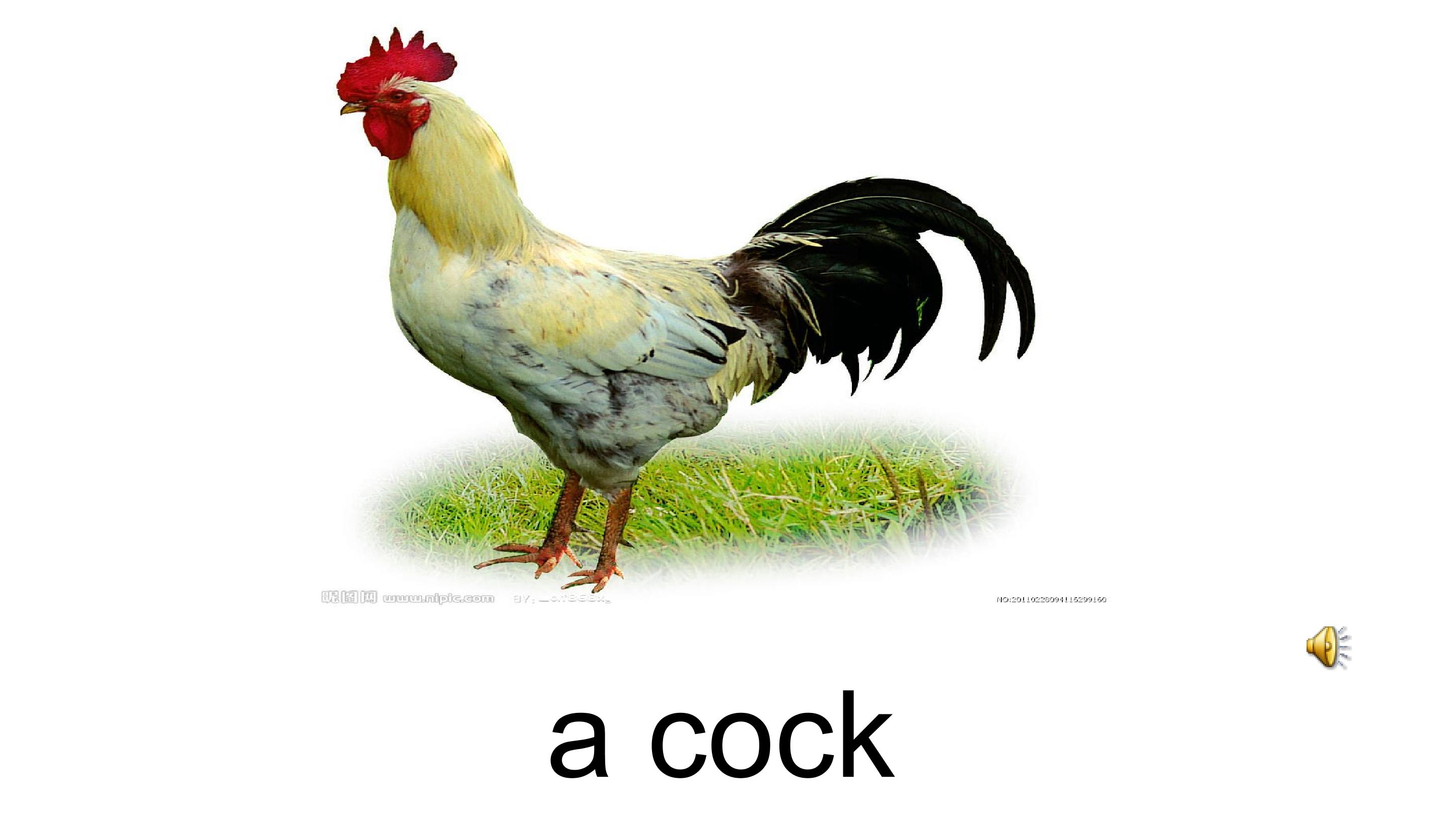 16.jpg