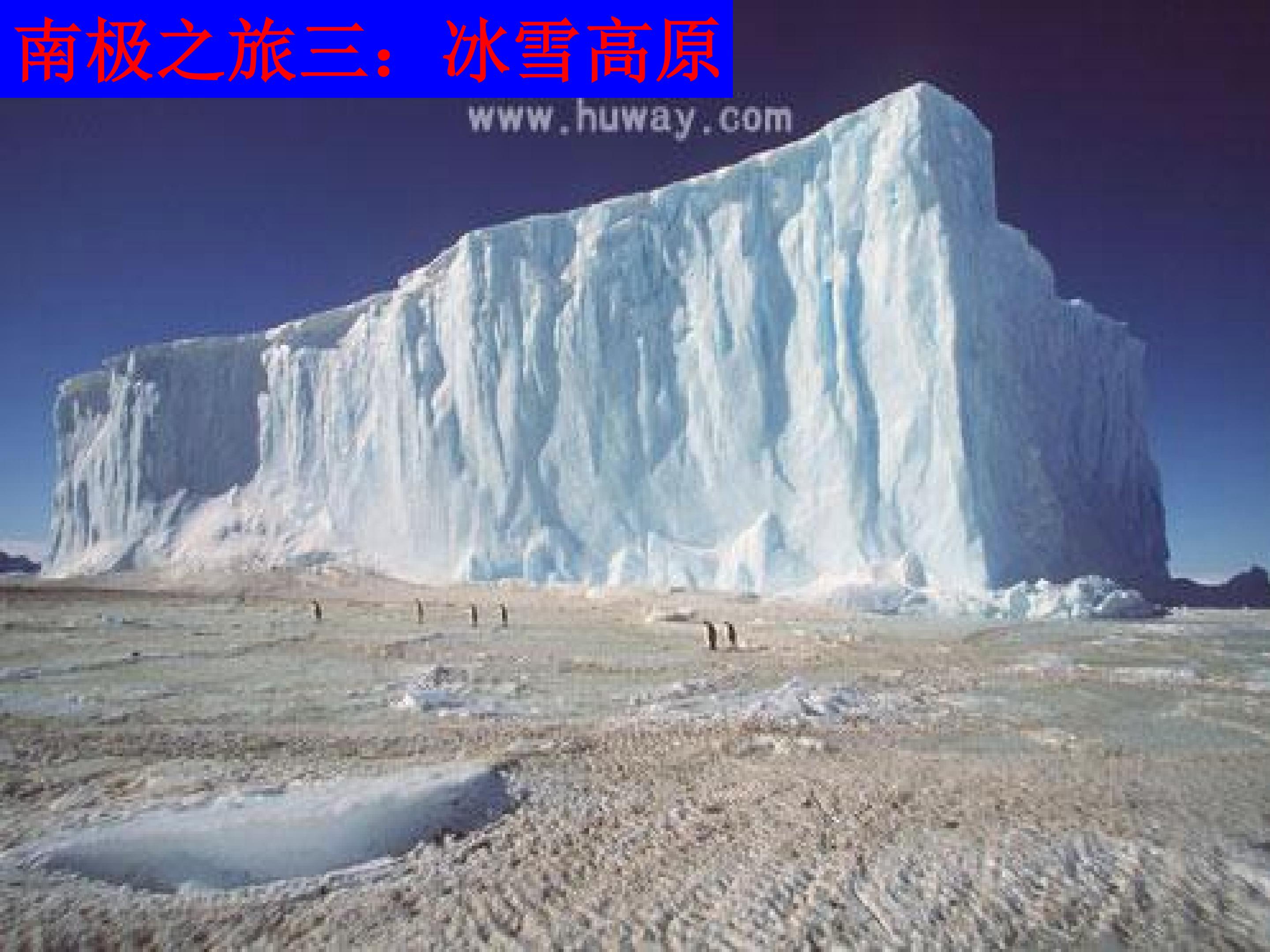59.jpg