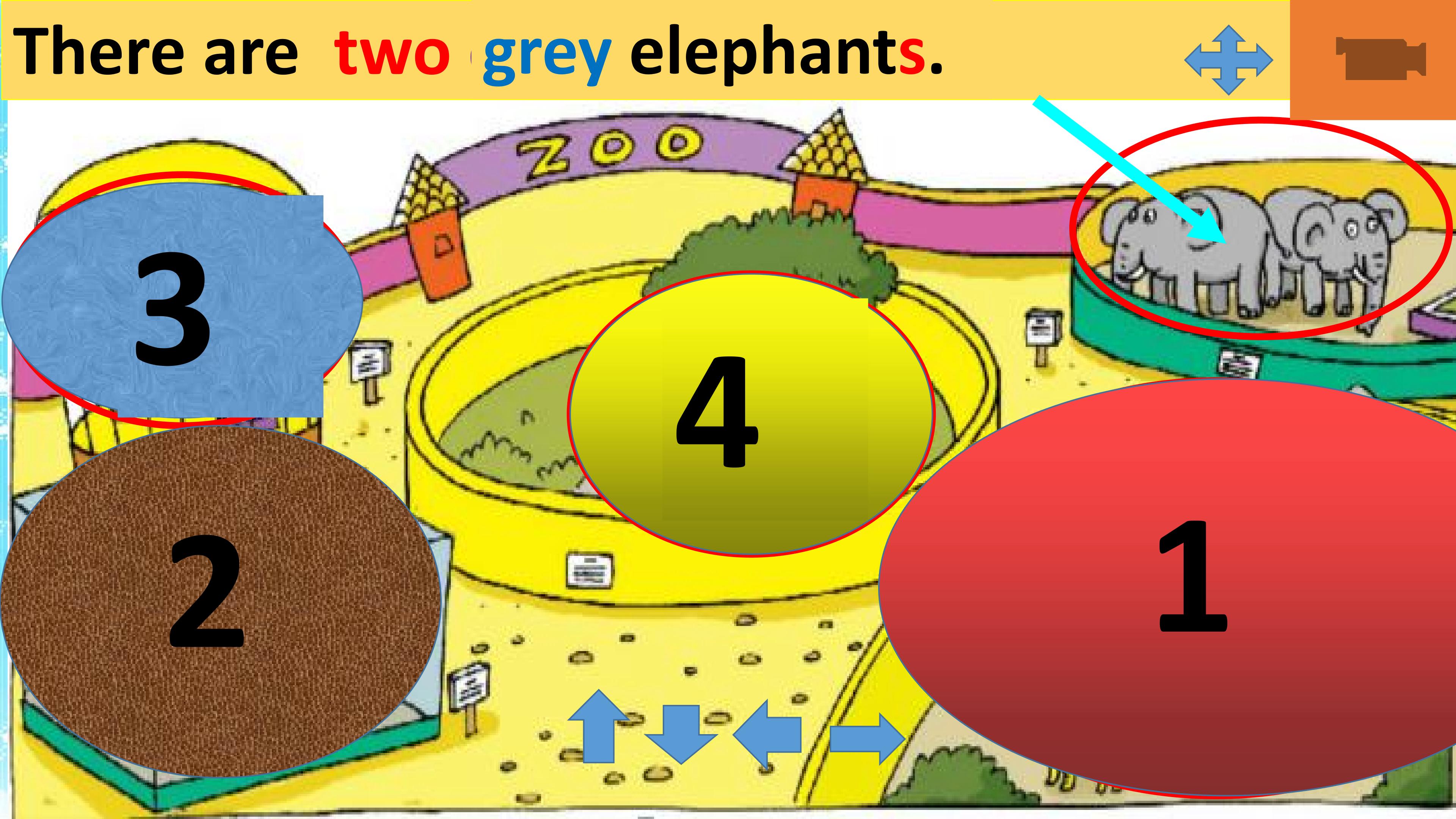 23.jpg