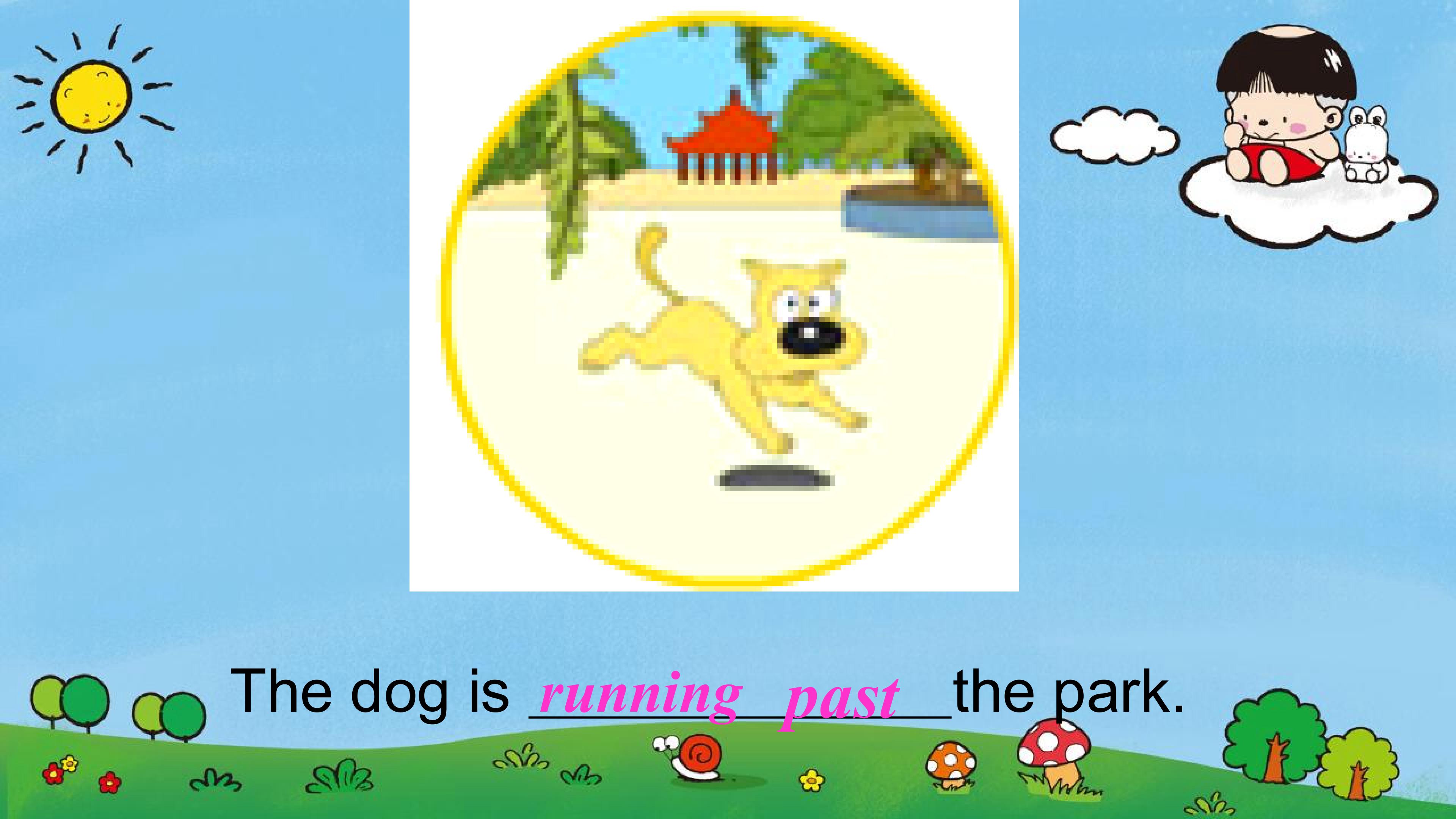 20.jpg