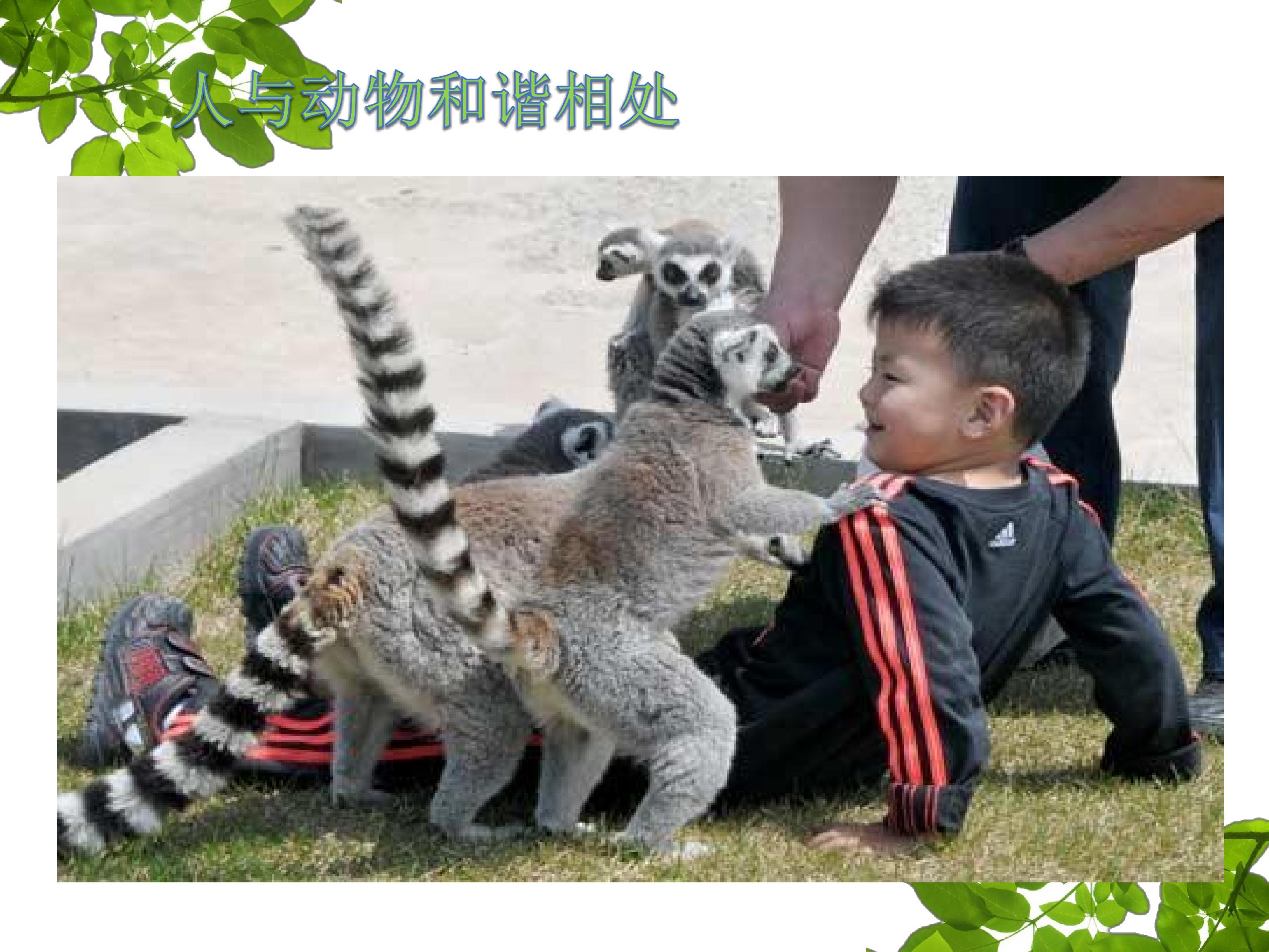 21.jpg
