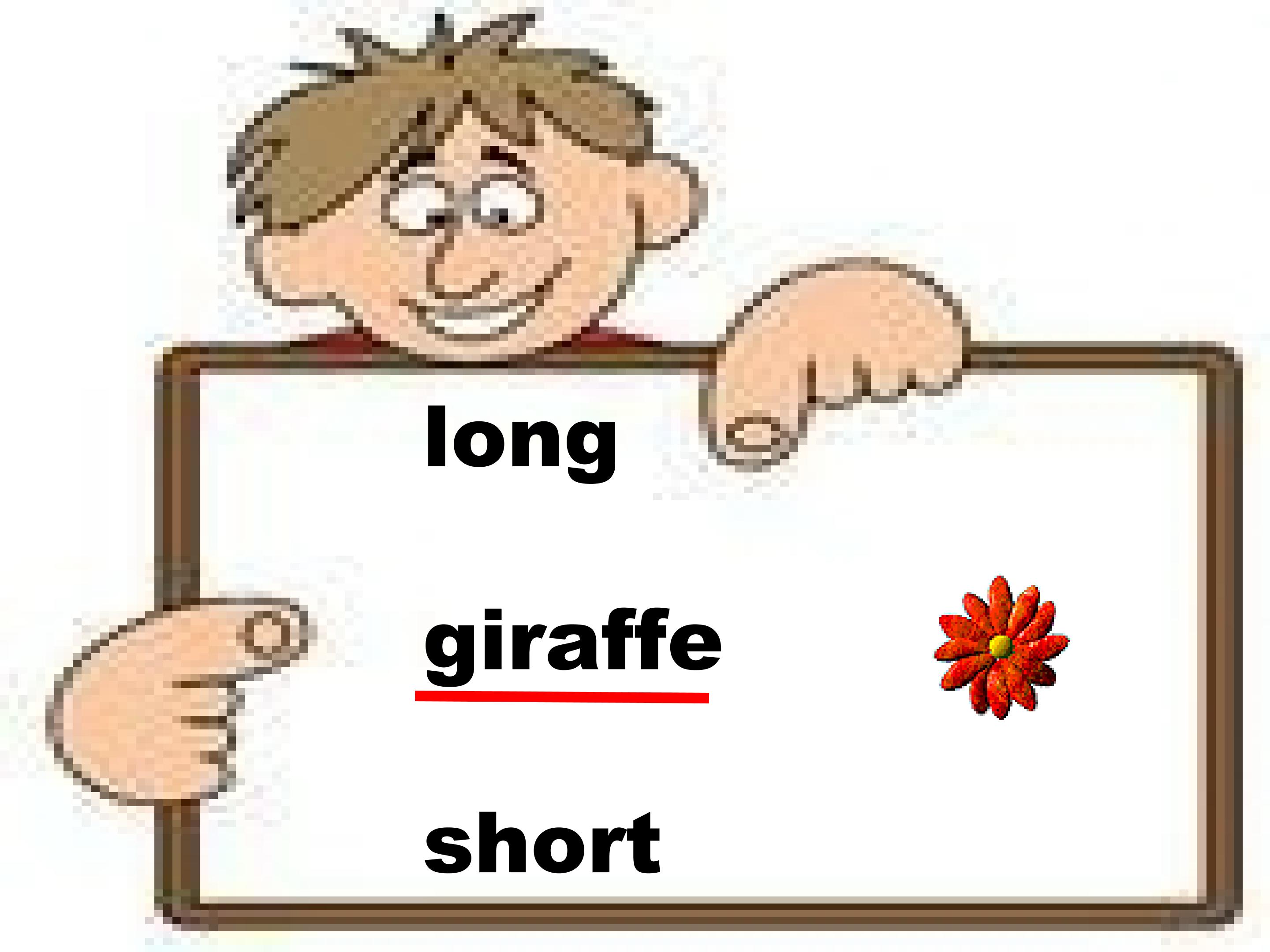 28.jpg