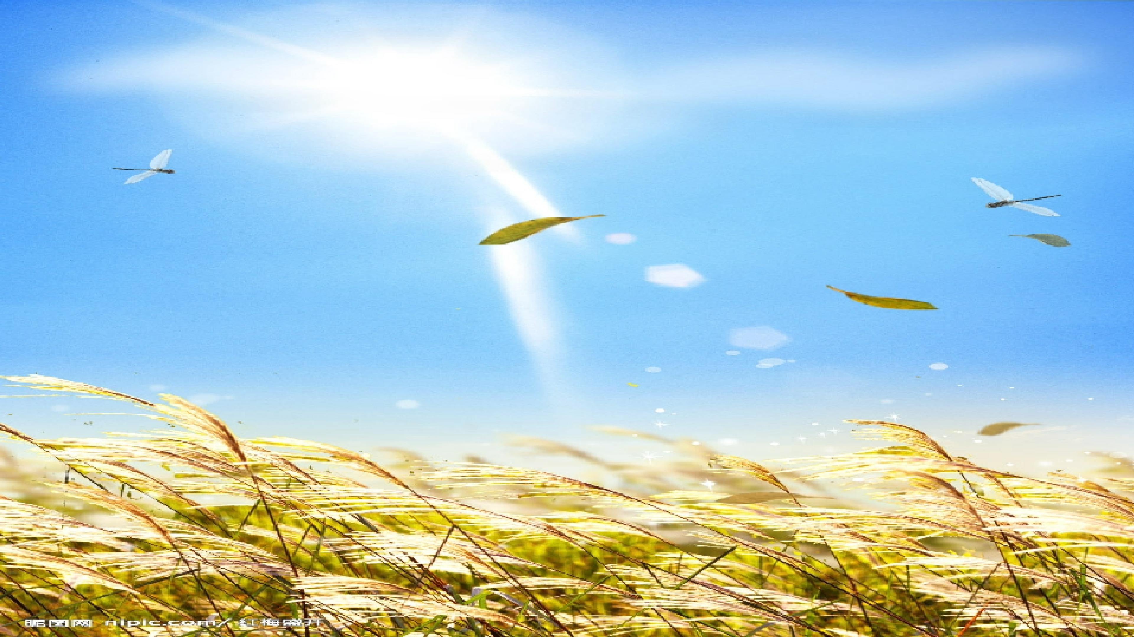 73.jpg