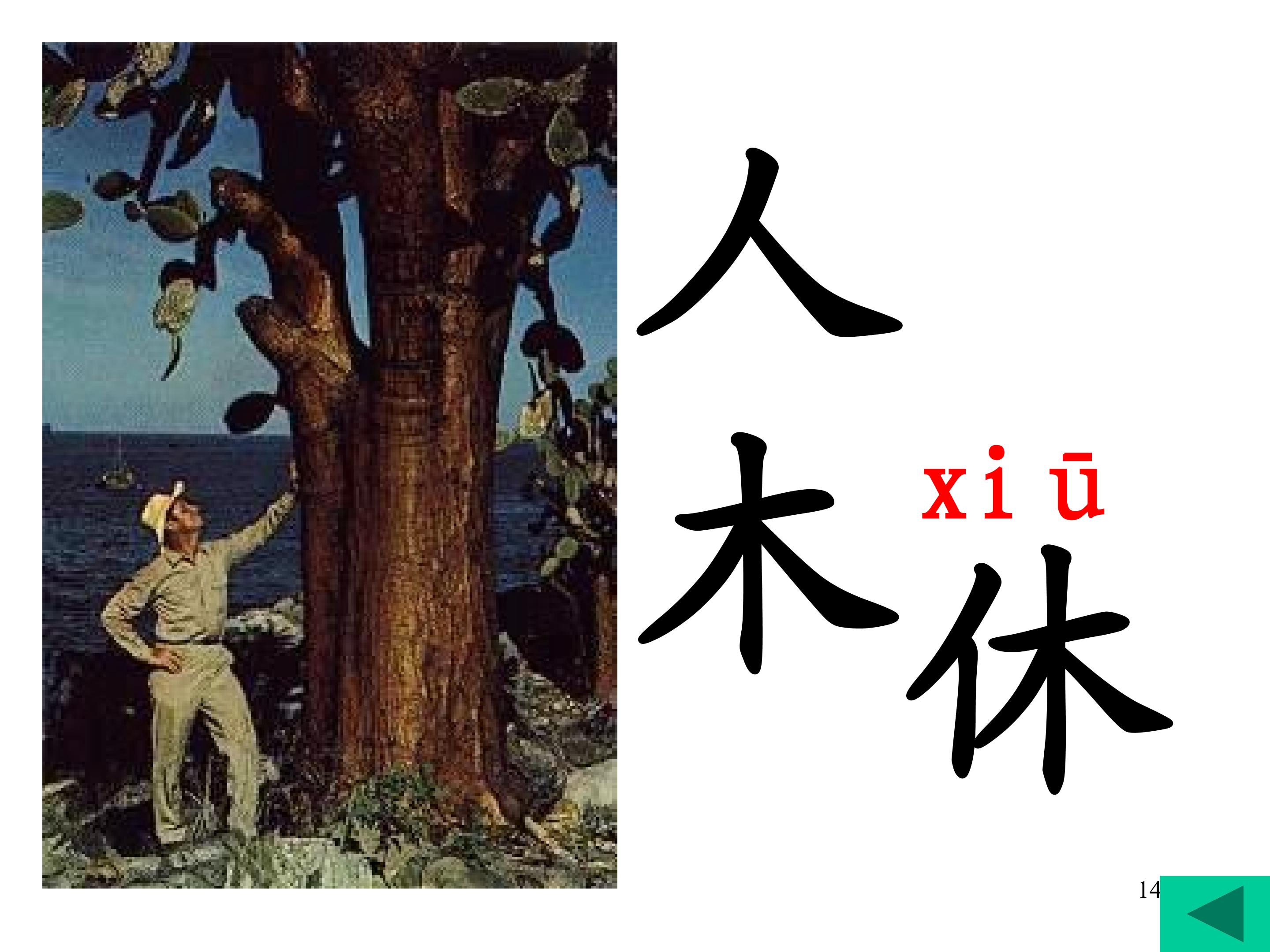 14.jpg