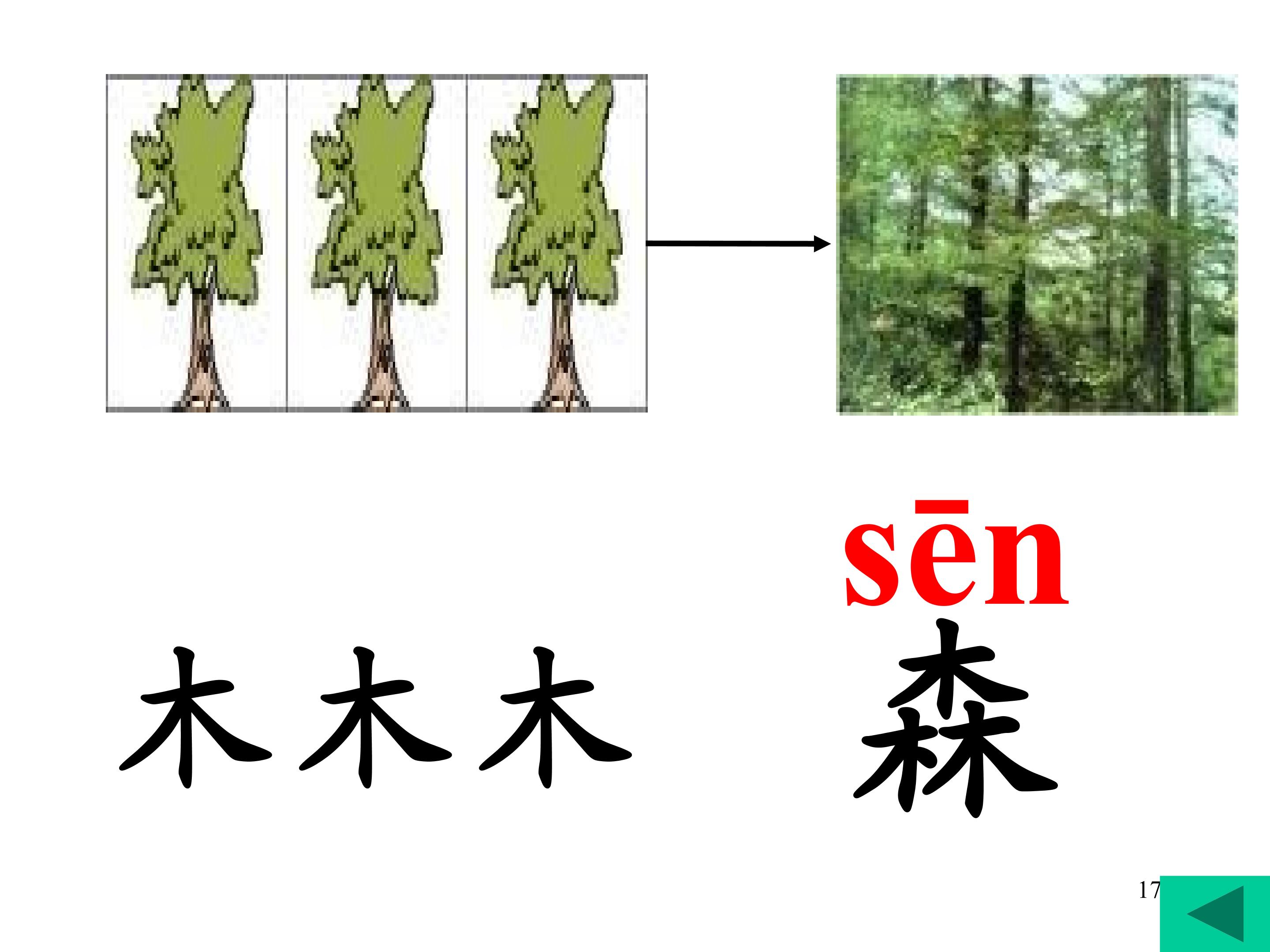 17.jpg