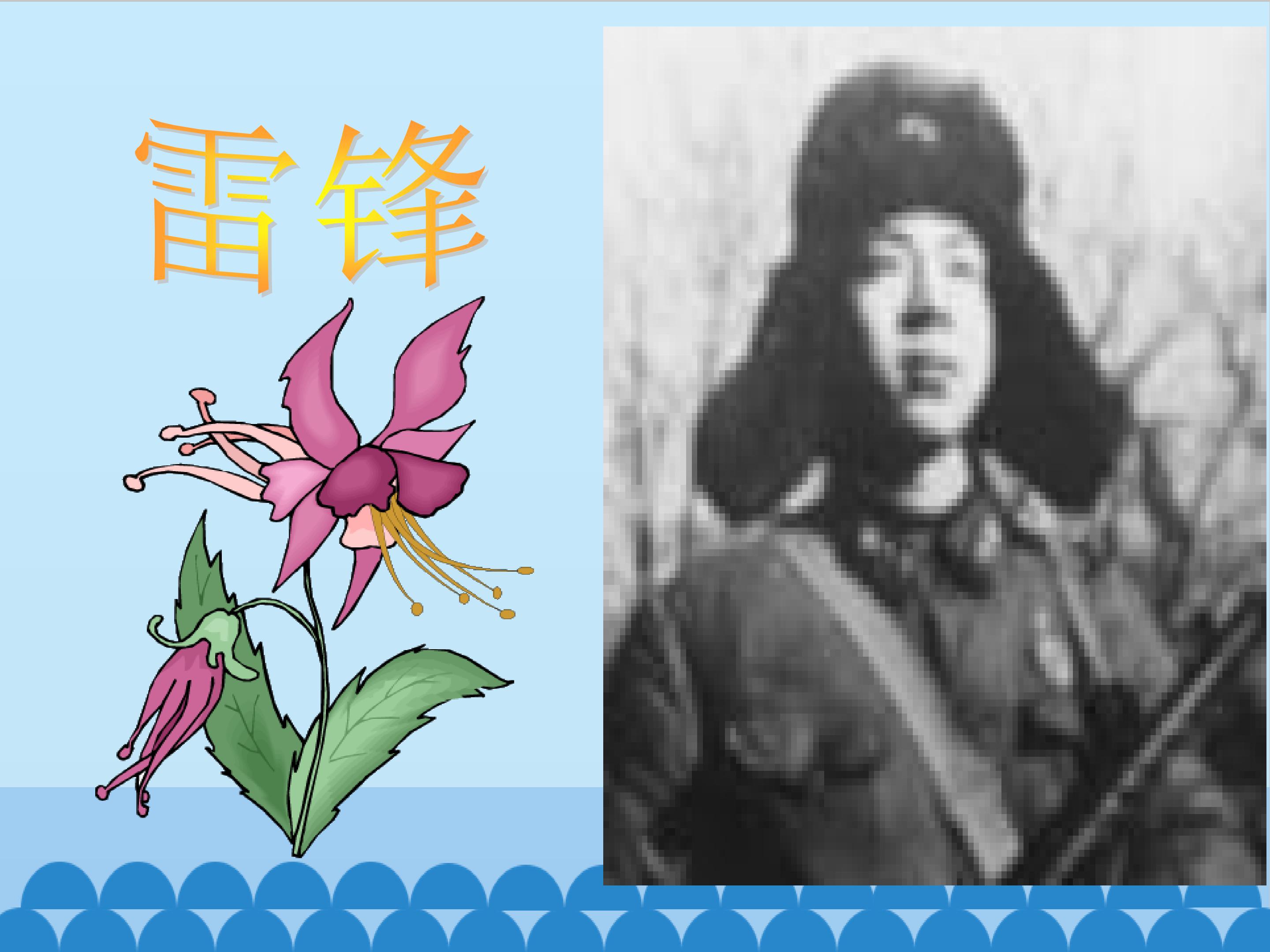 2.jpg