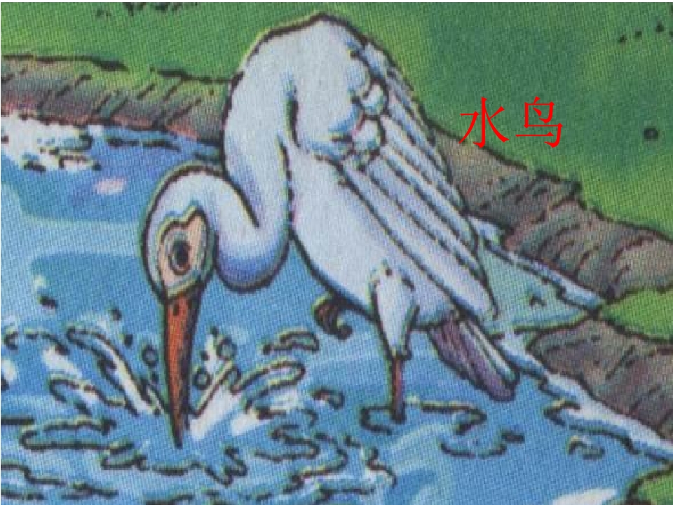 16.jpg